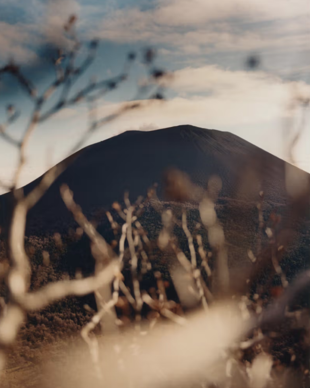 An image of Luke Evans for Justified Studio