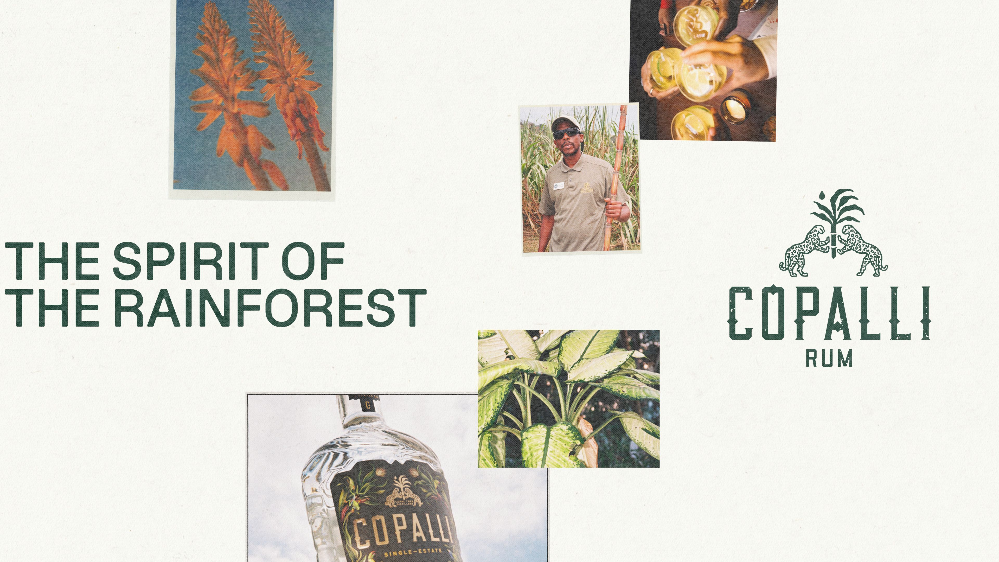 Copalli brand f&b rum belize environmental carbon branding editorial