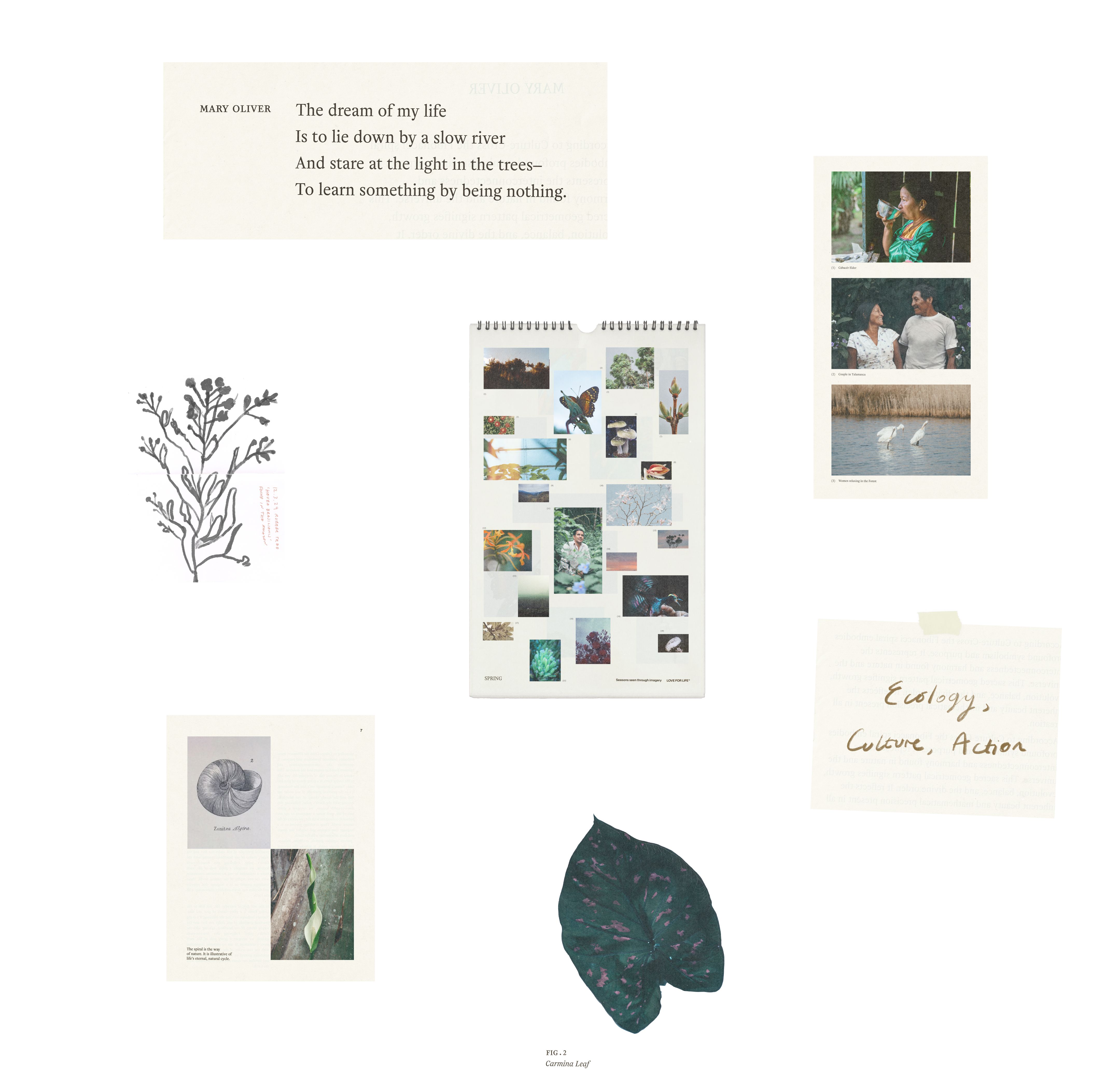 An image of Love For Life brand with photography as a key visual 