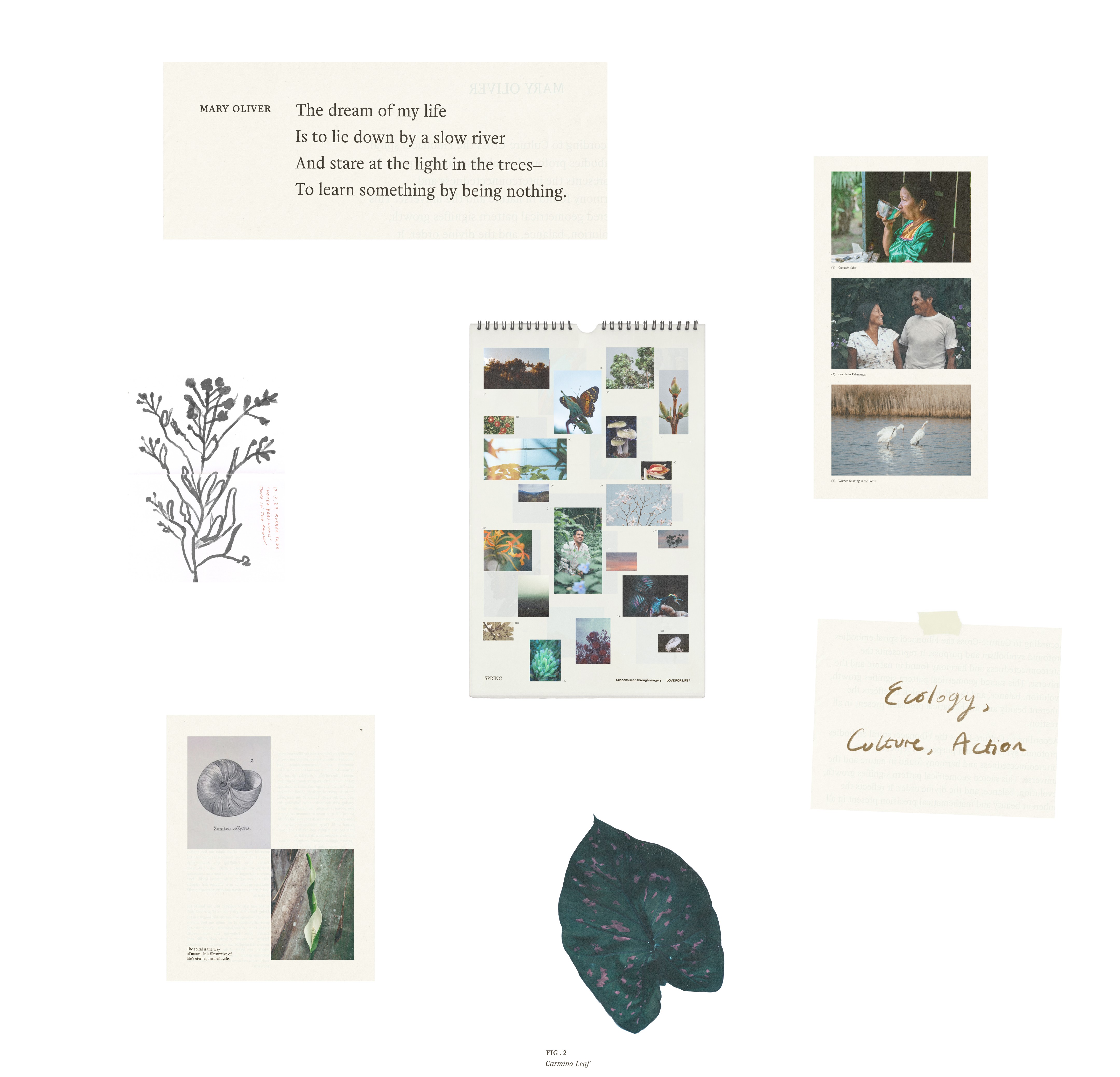 An image of Love For Life brand with photography as a key visual