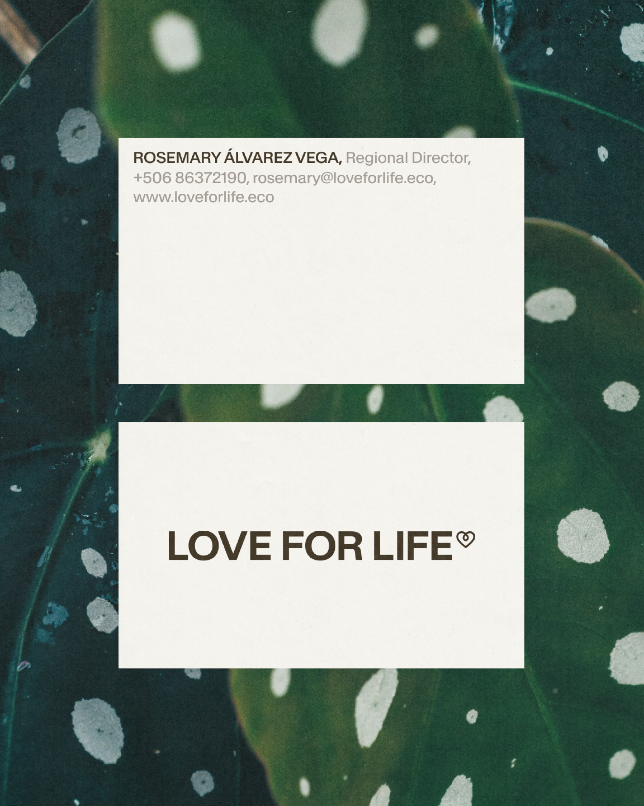 An image of Love For Life brand business cards as a key visual