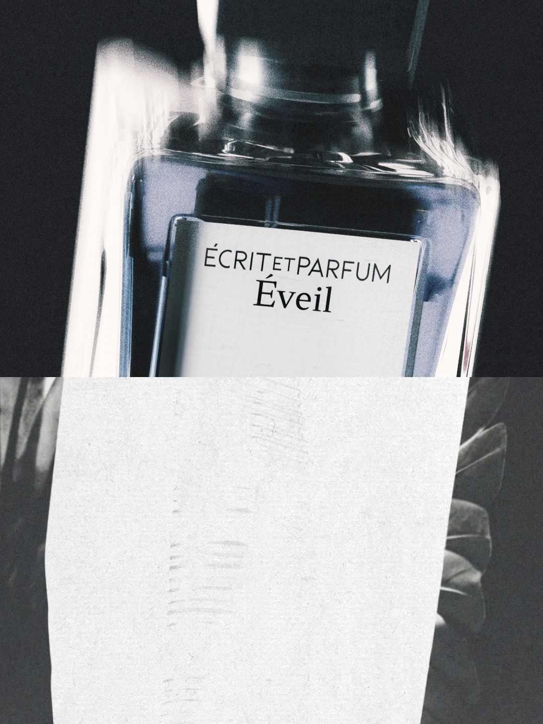 Écrit et Parfum x Justified Studio