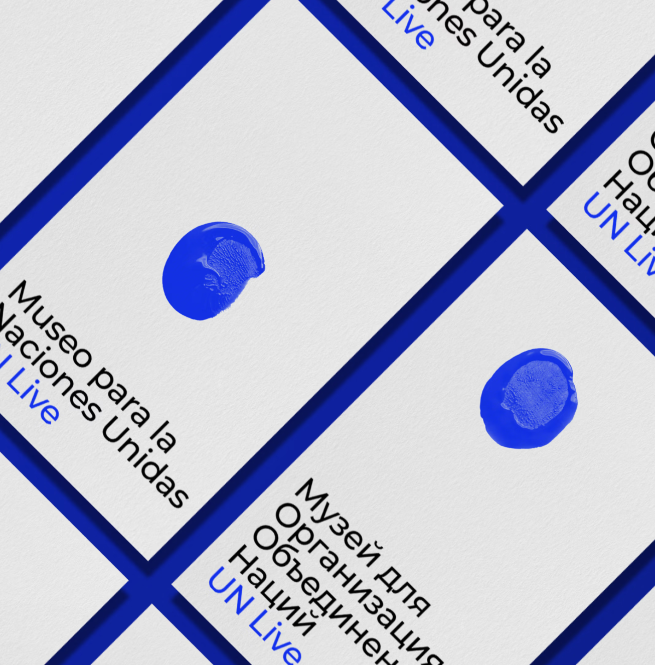 Our Work for The United Nations