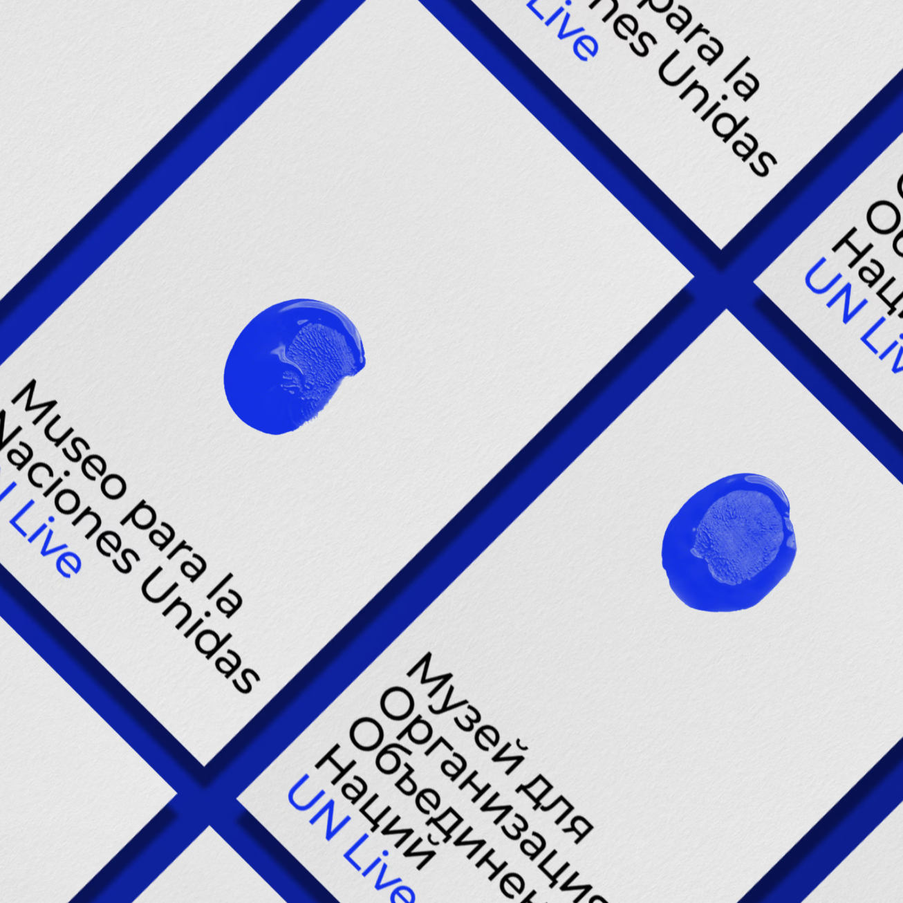 Our Work for The United Nations