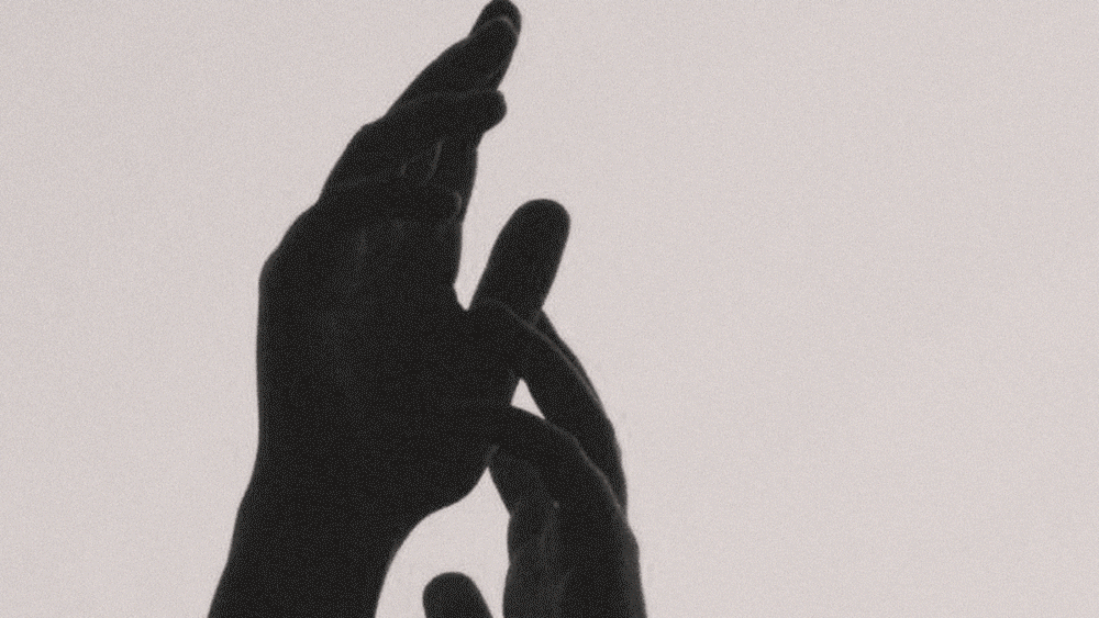 A Video of The Aesop Foundation showing the brand and photography Art Direction