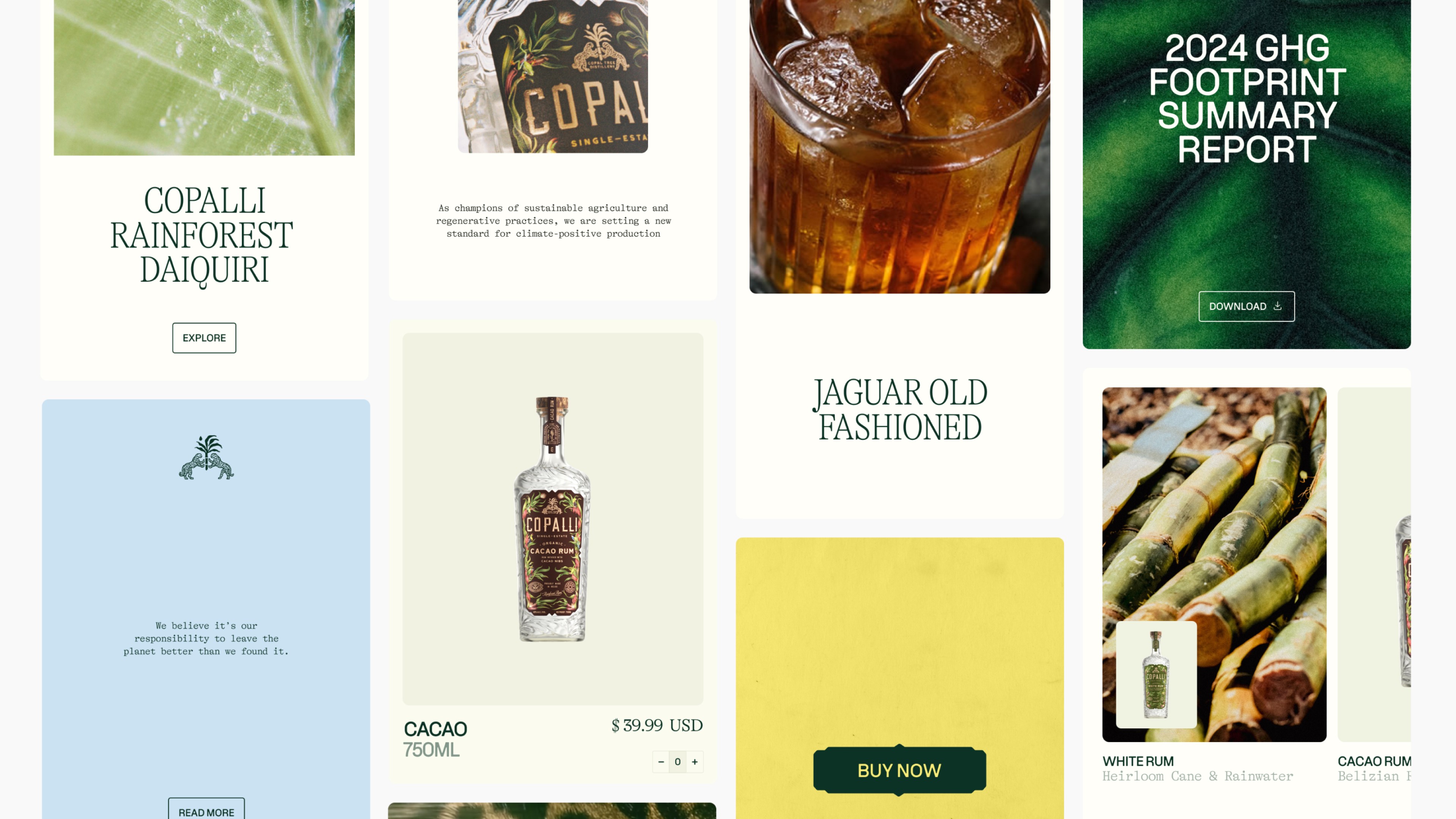Copalli brand f&b rum belize environmental carbon branding editorial