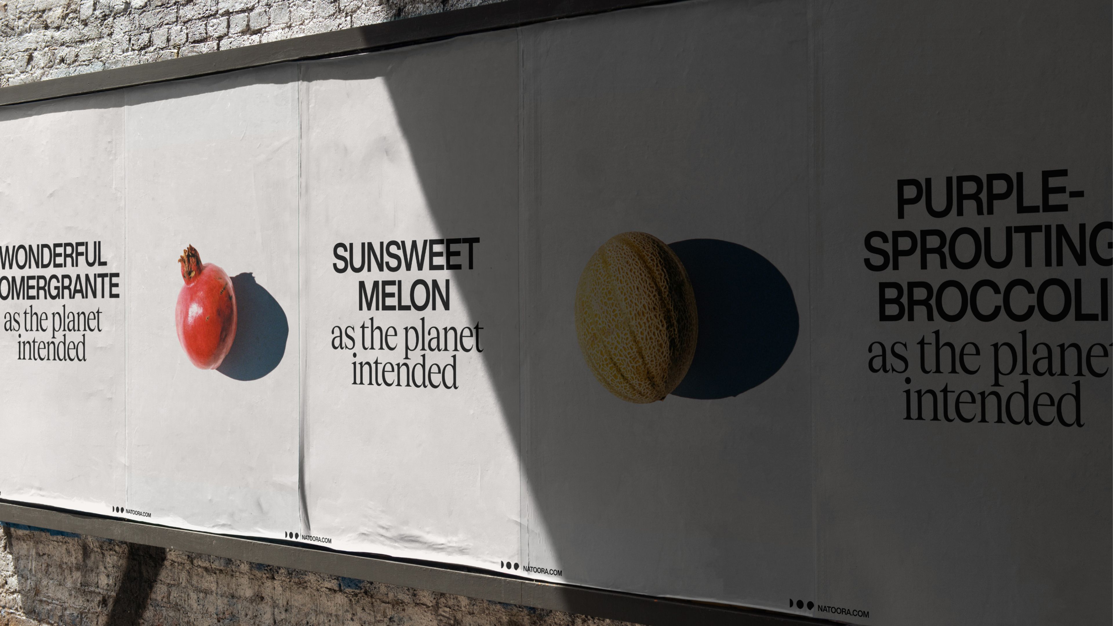 An image of Natoora brand and photography in posters in an ooh billboard