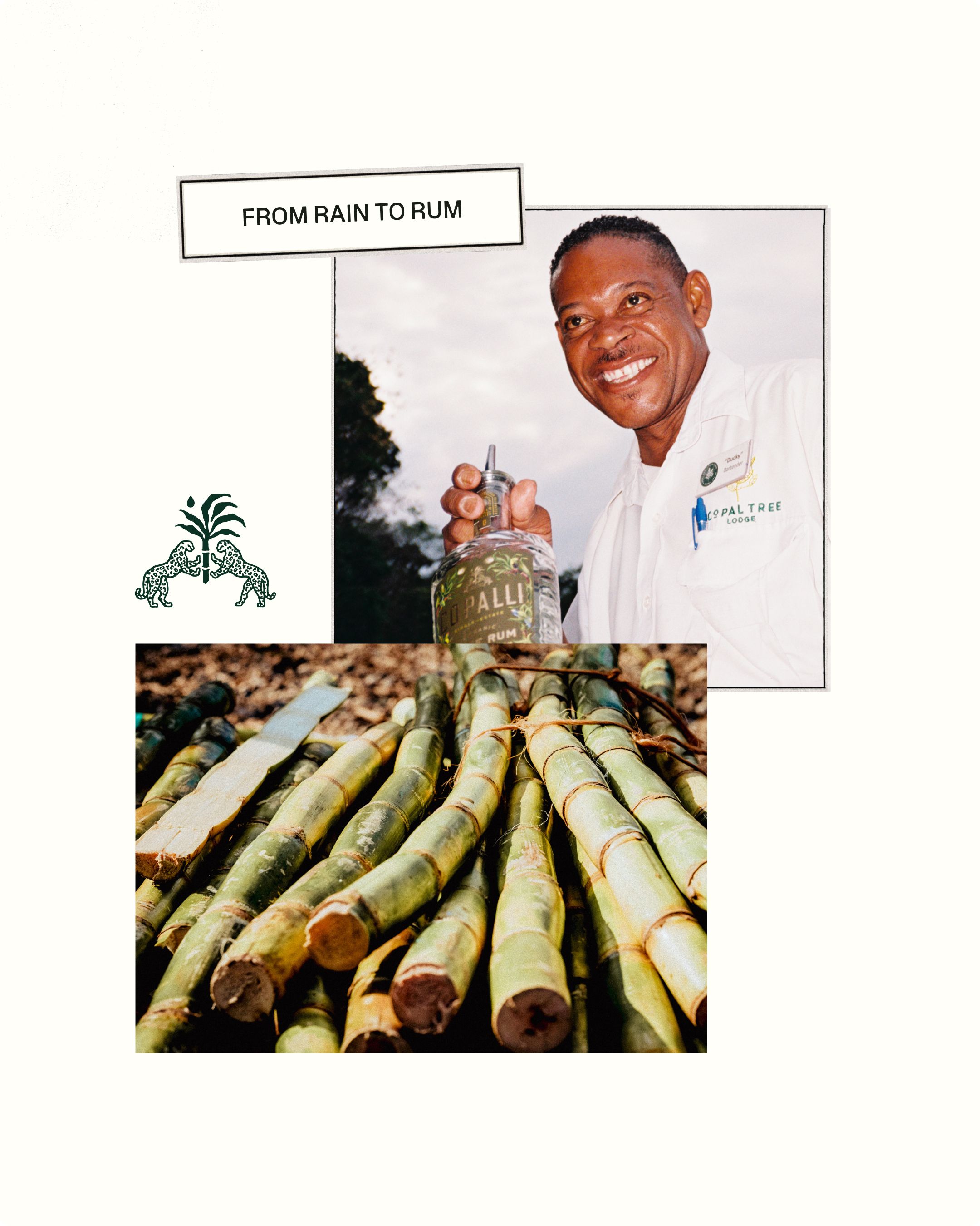 Copalli brand f&b rum belize environmental carbon branding editorial