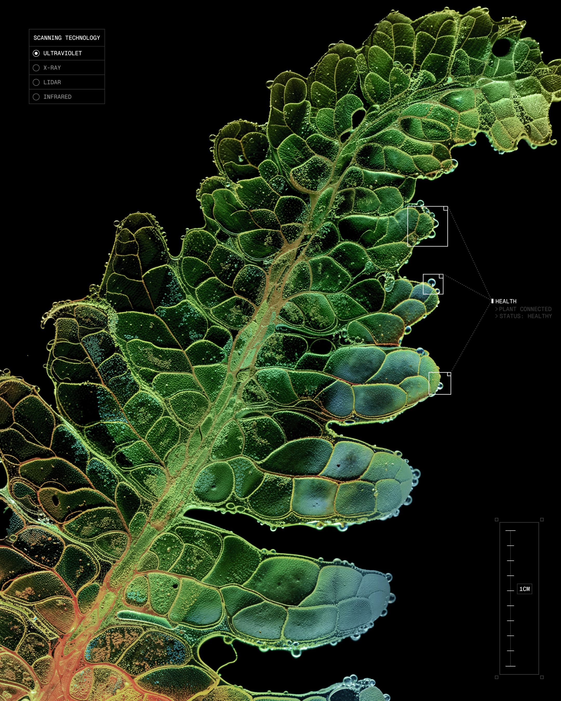 An image of Ikea Future Forest interactive experience showing the imagery styling and graphic elements