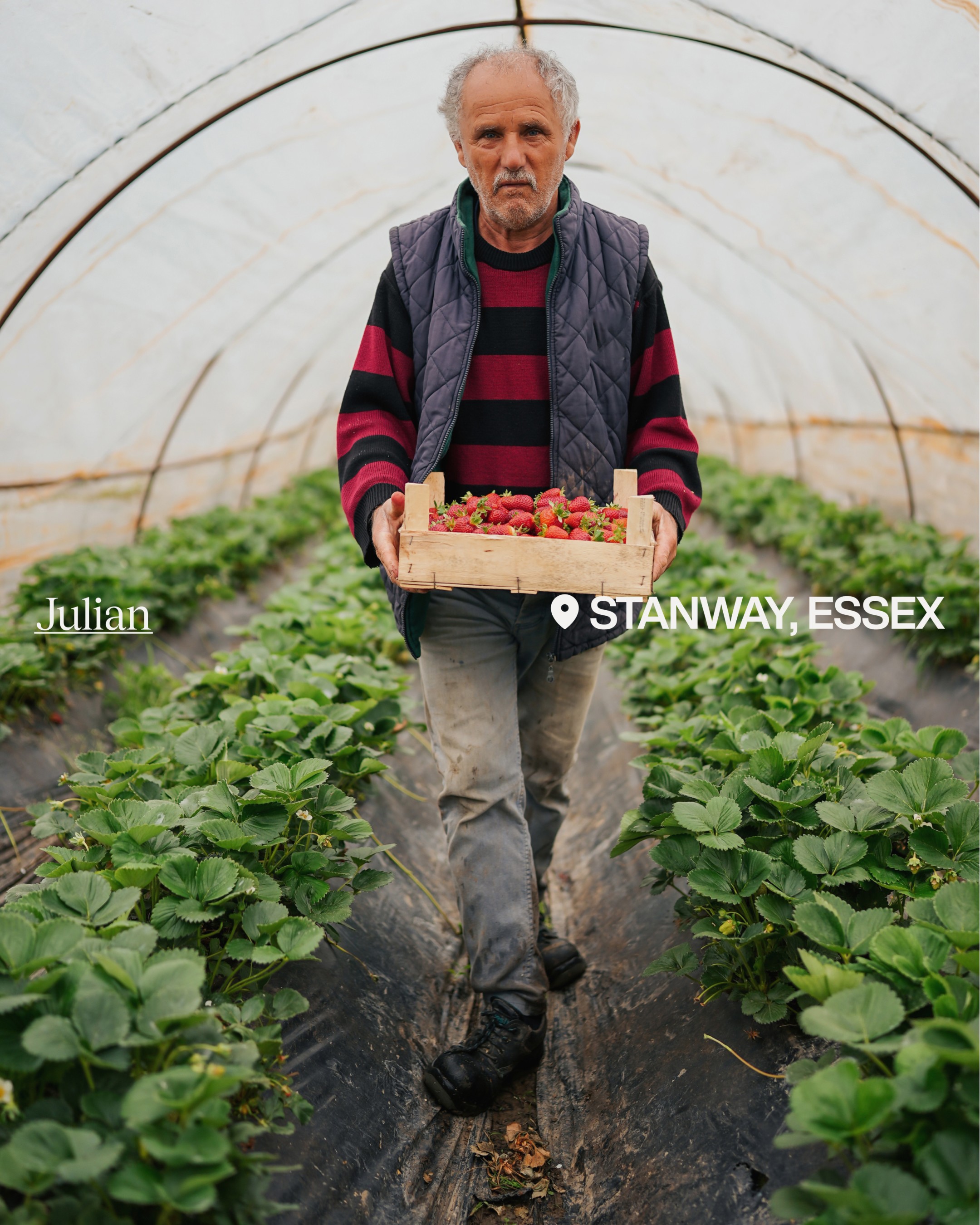 An image of Natoora portrait of a grower farmer supplier as a photograph