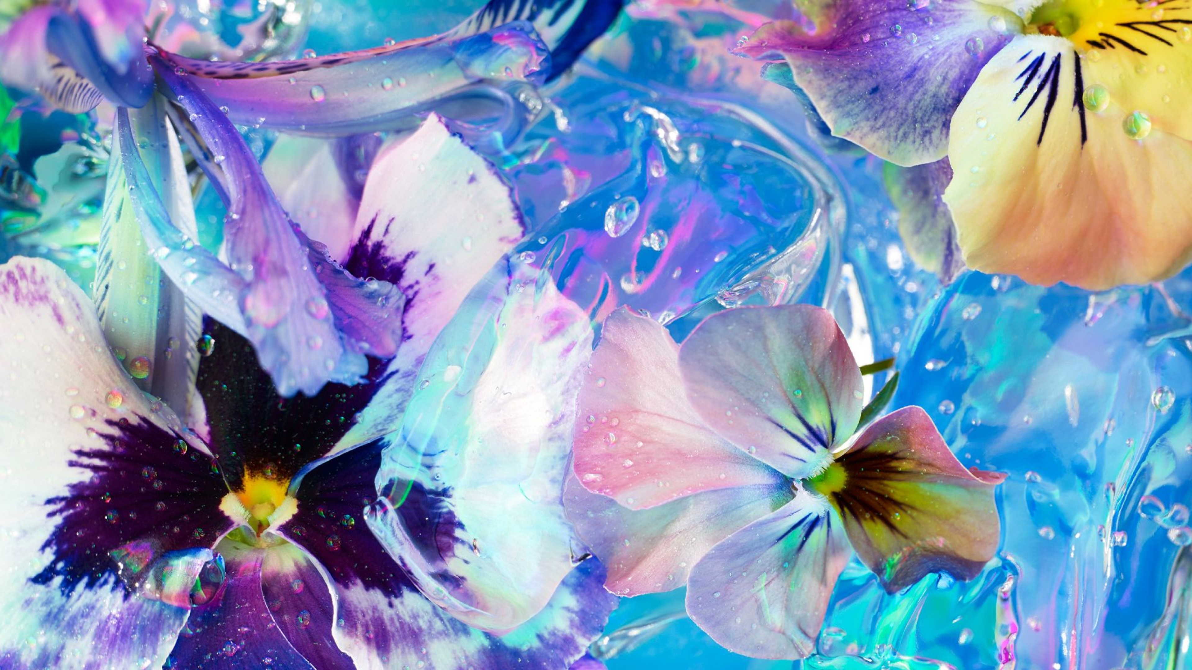 An image of The Photographers Gallery Correspondance exhibition showing an interactive digital experience with artwork