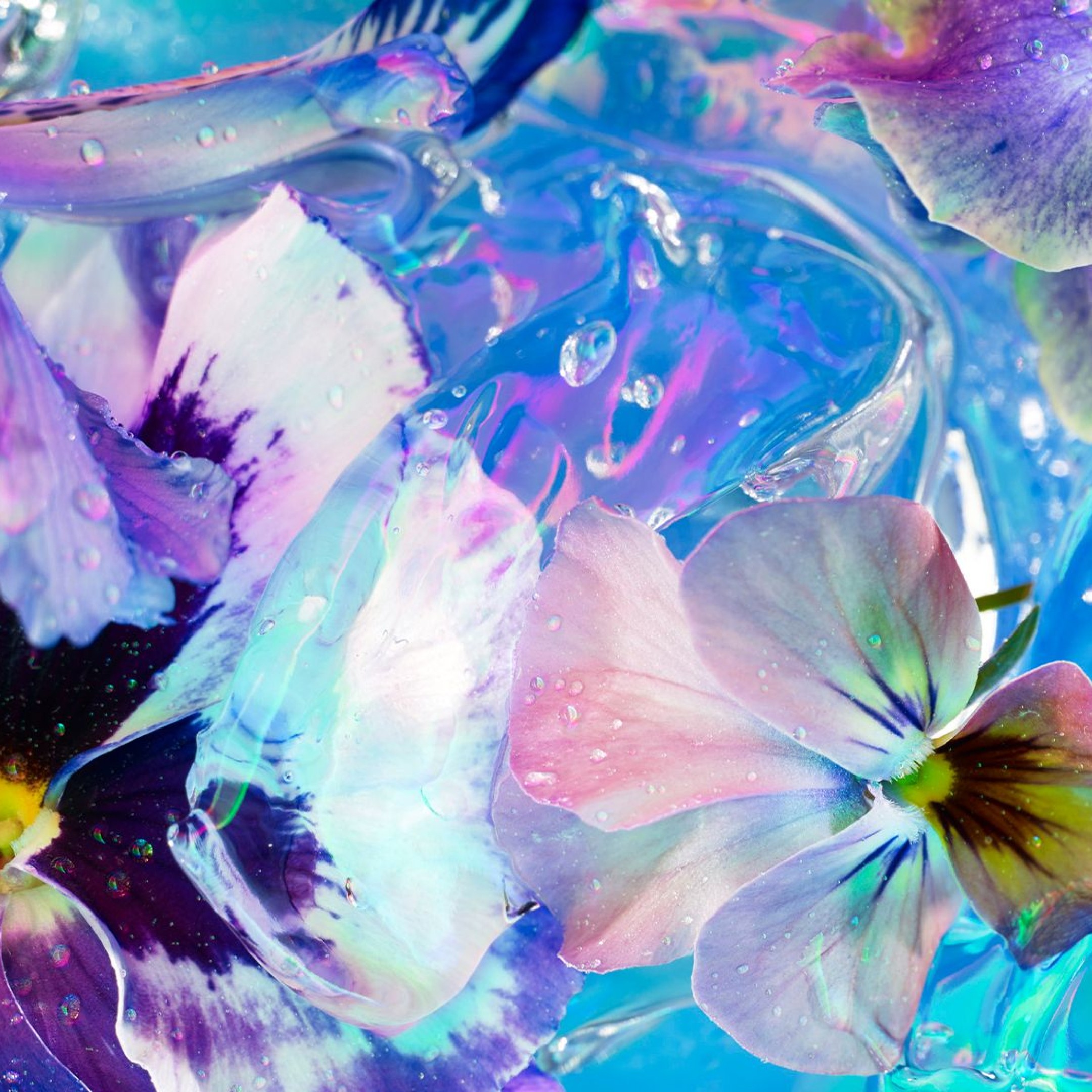 An image of The Photographers Gallery Correspondance Digital Experience