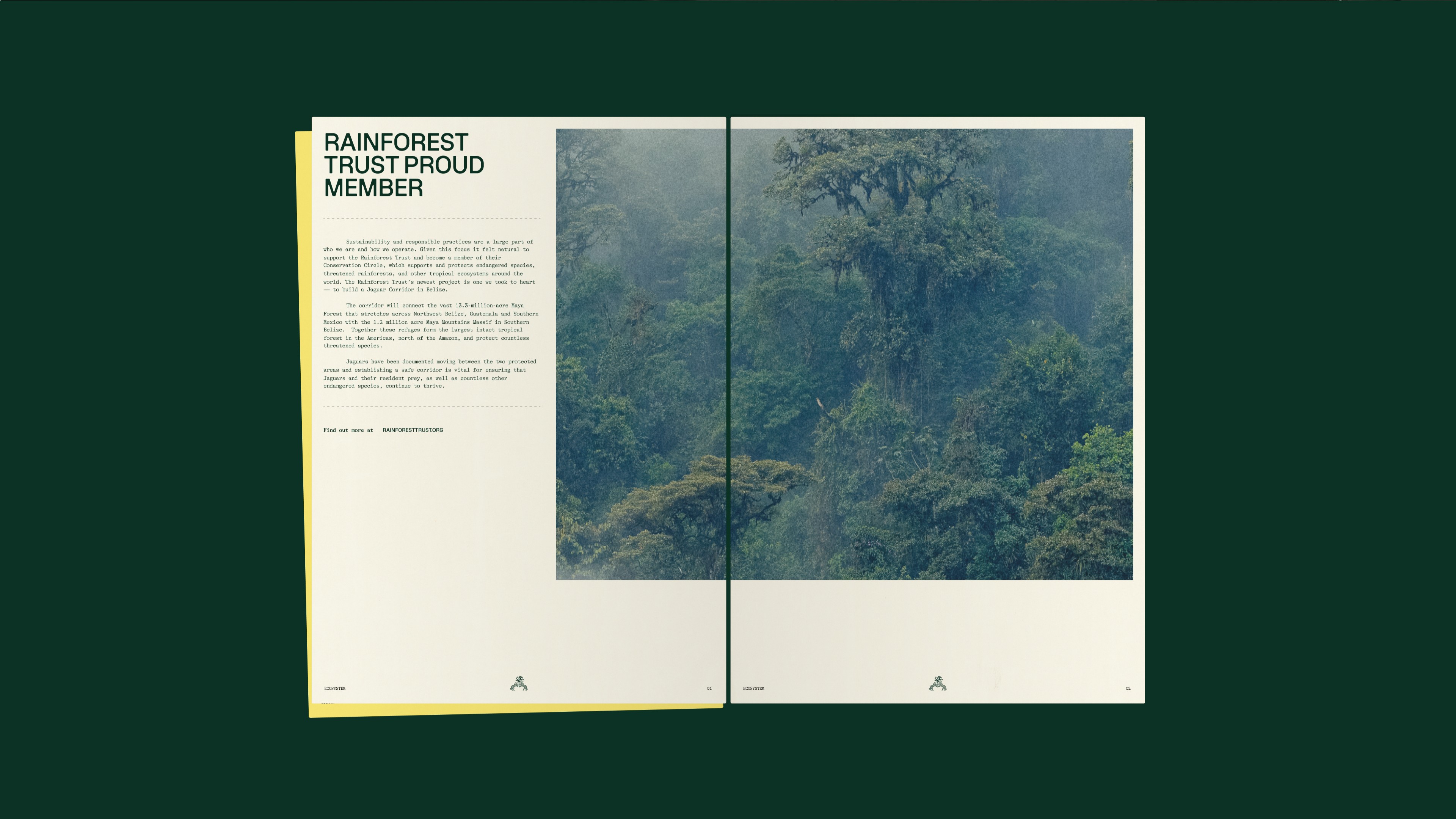 Copalli brand f&b rum belize environmental carbon branding editorial