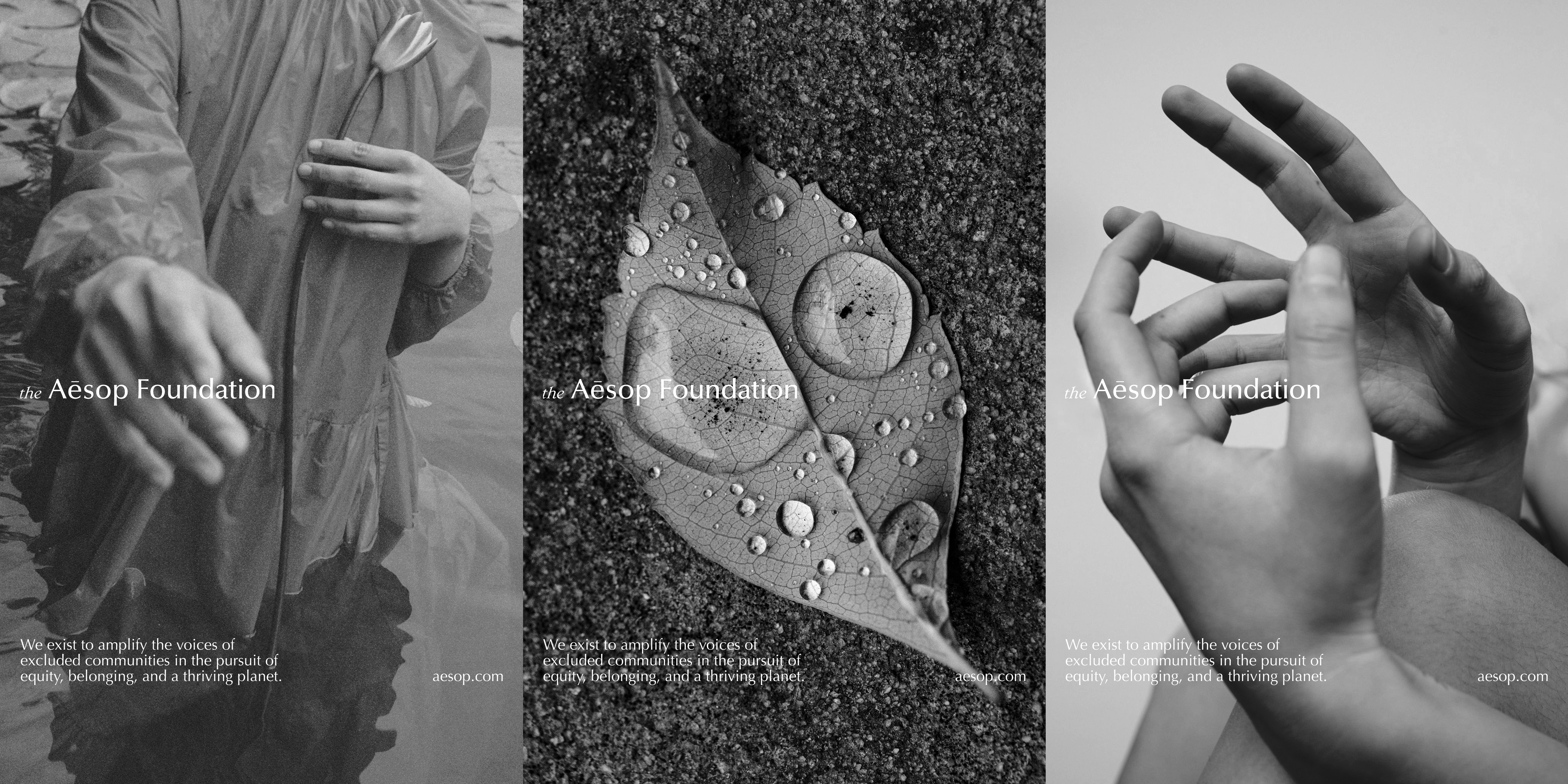 A Video of The Aesop Foundation showing the brand and photography Art Direction