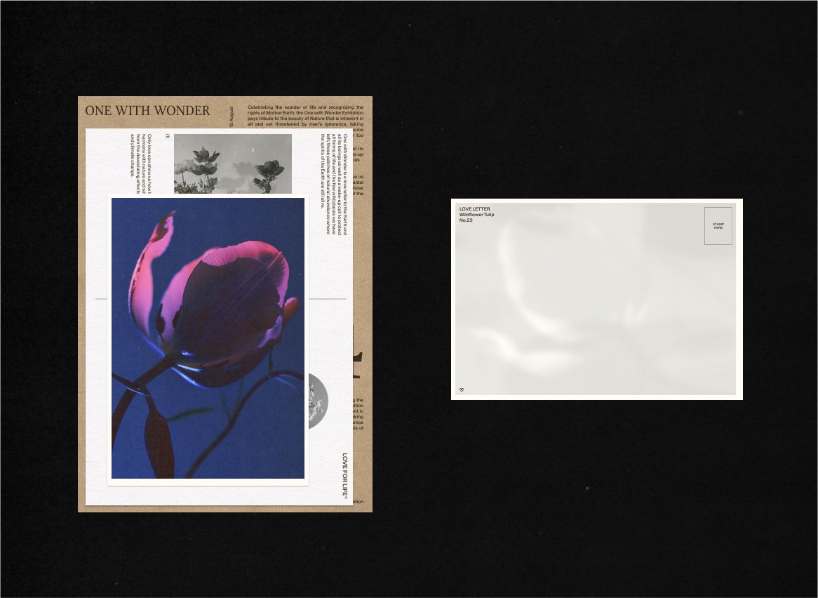 An image of Love For Life brand printed collateral showing photography and type