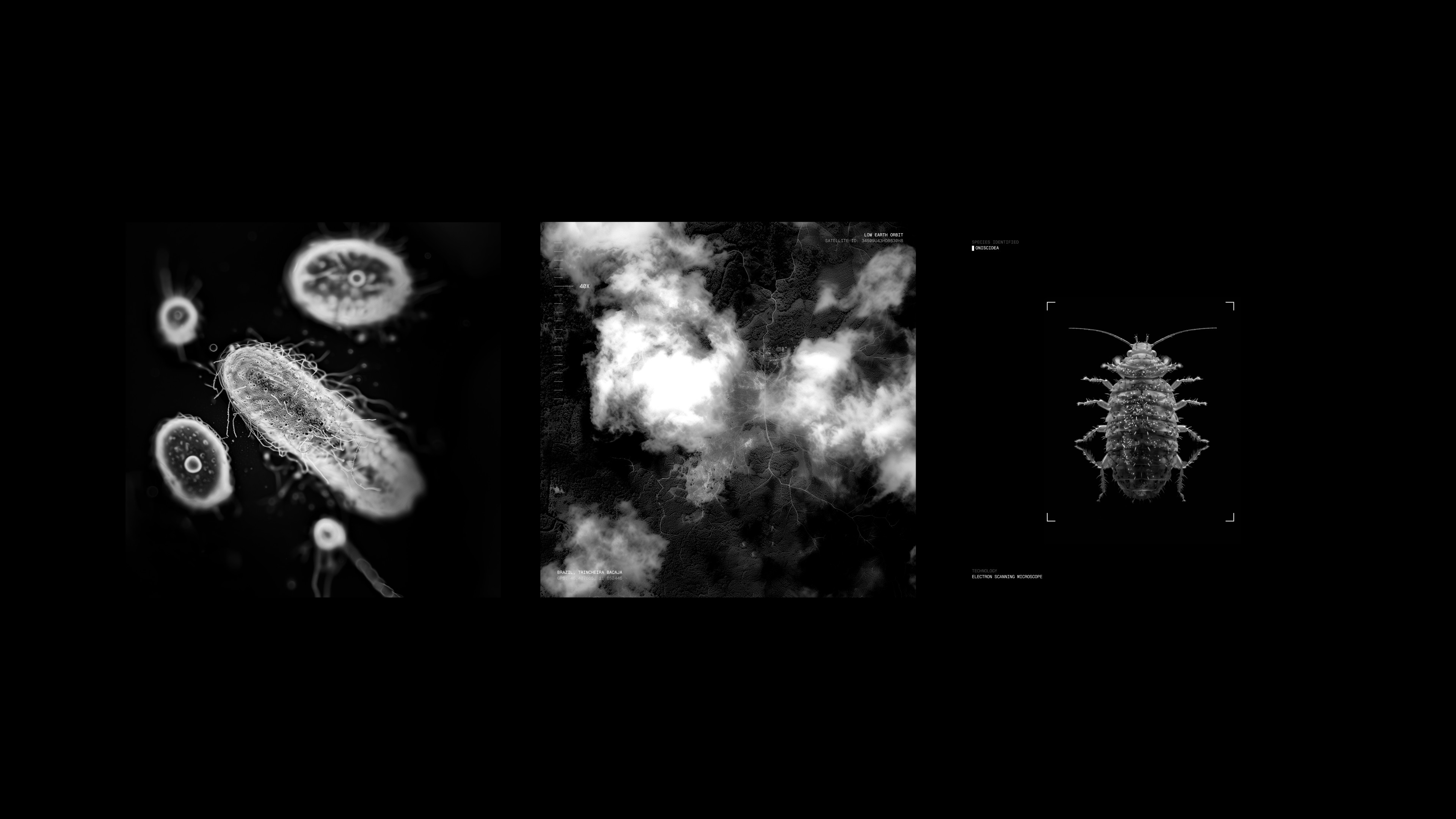 An image of Ikea Future Forest interactive experience showing the UI and the data graphic elements