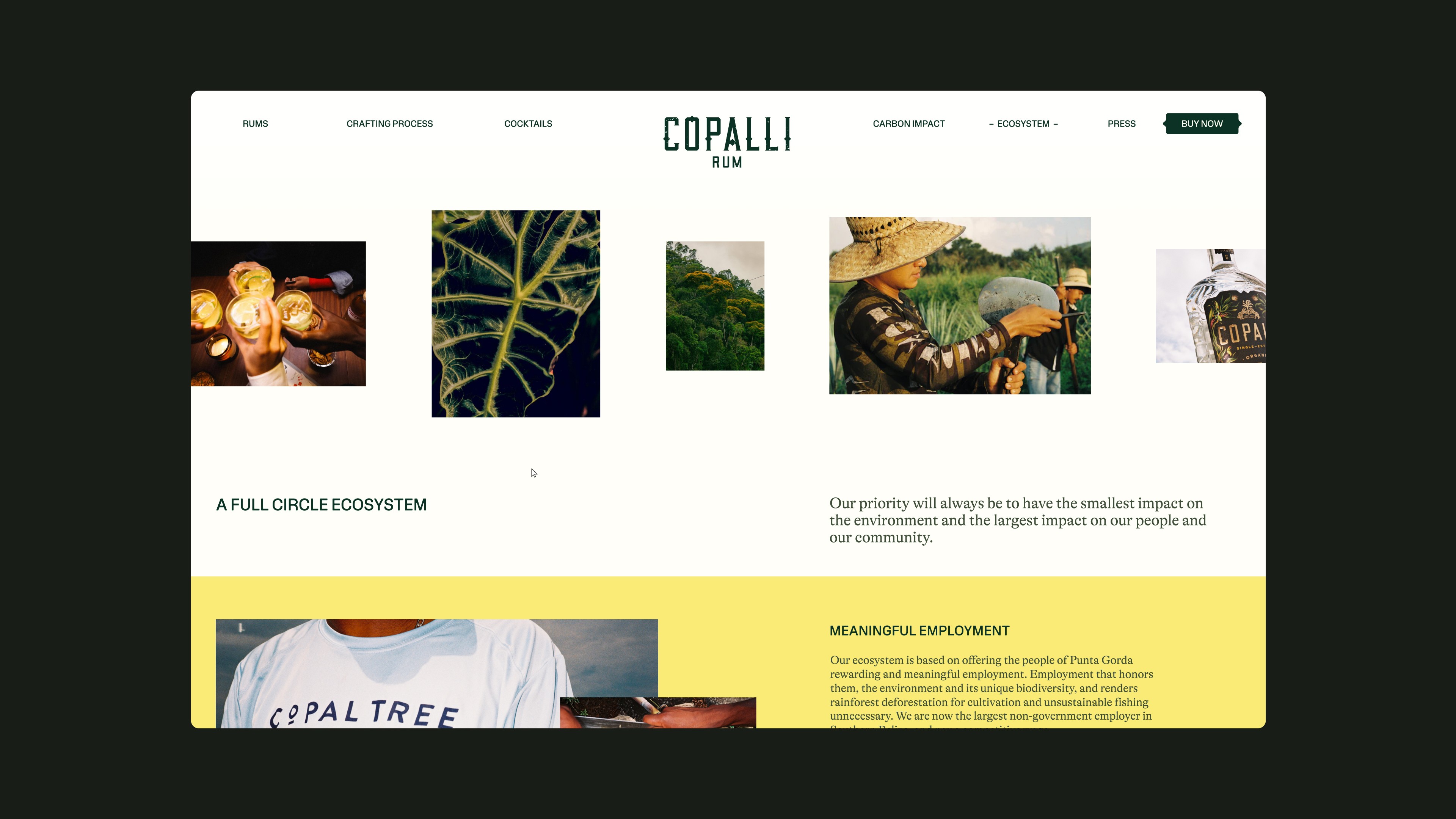 An image of Copalli website