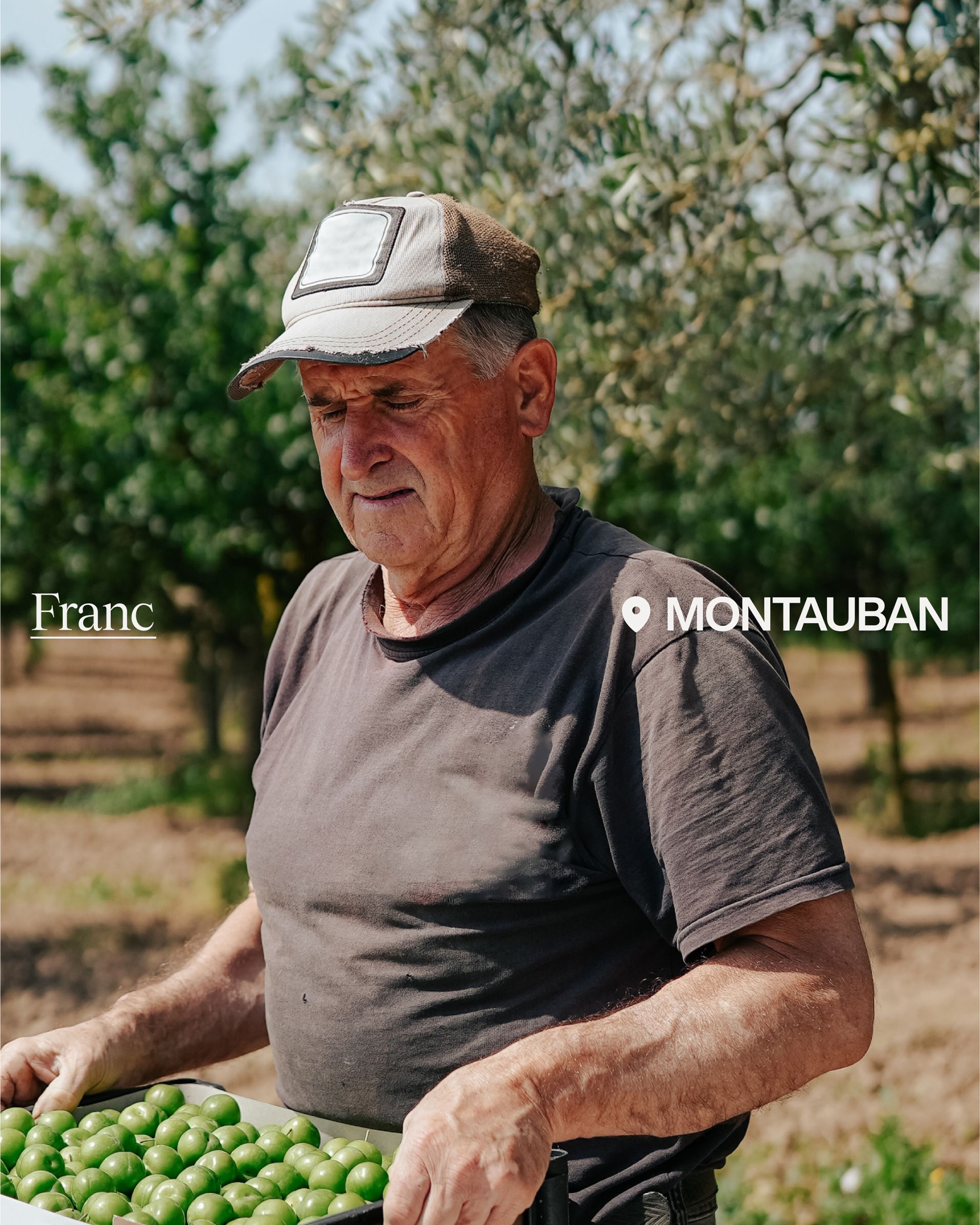 An image of Natoora brand and photography of growers farmers suppliers