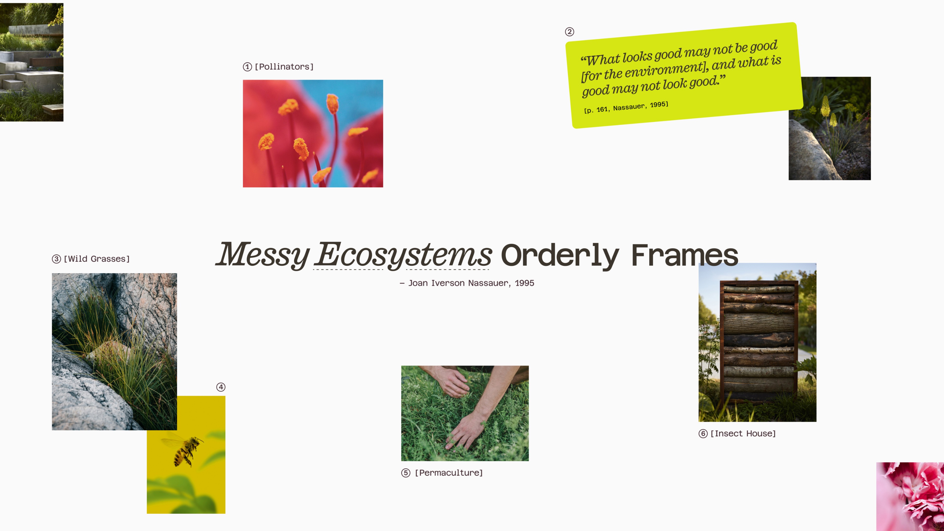 An image of Tom Massey Studio brand as a key visual