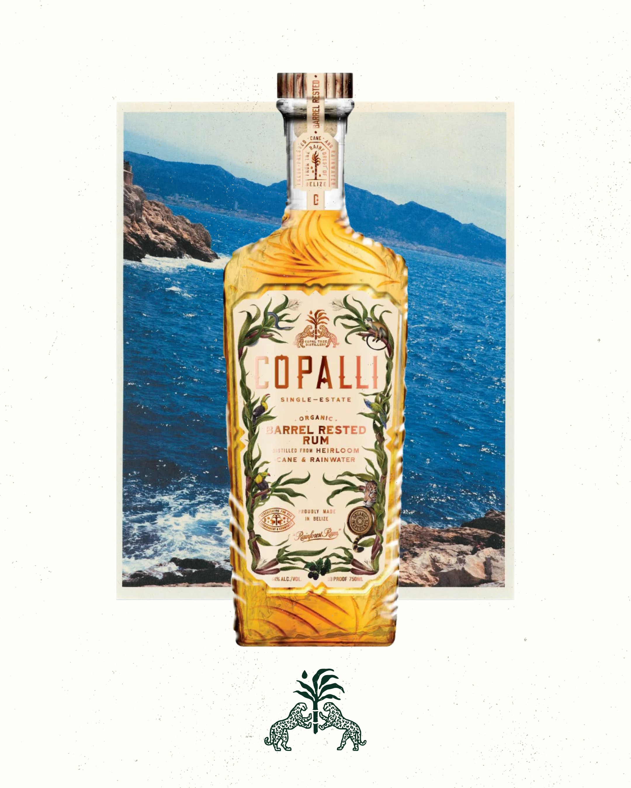 Copalli brand f&b rum belize environmental carbon branding editorial