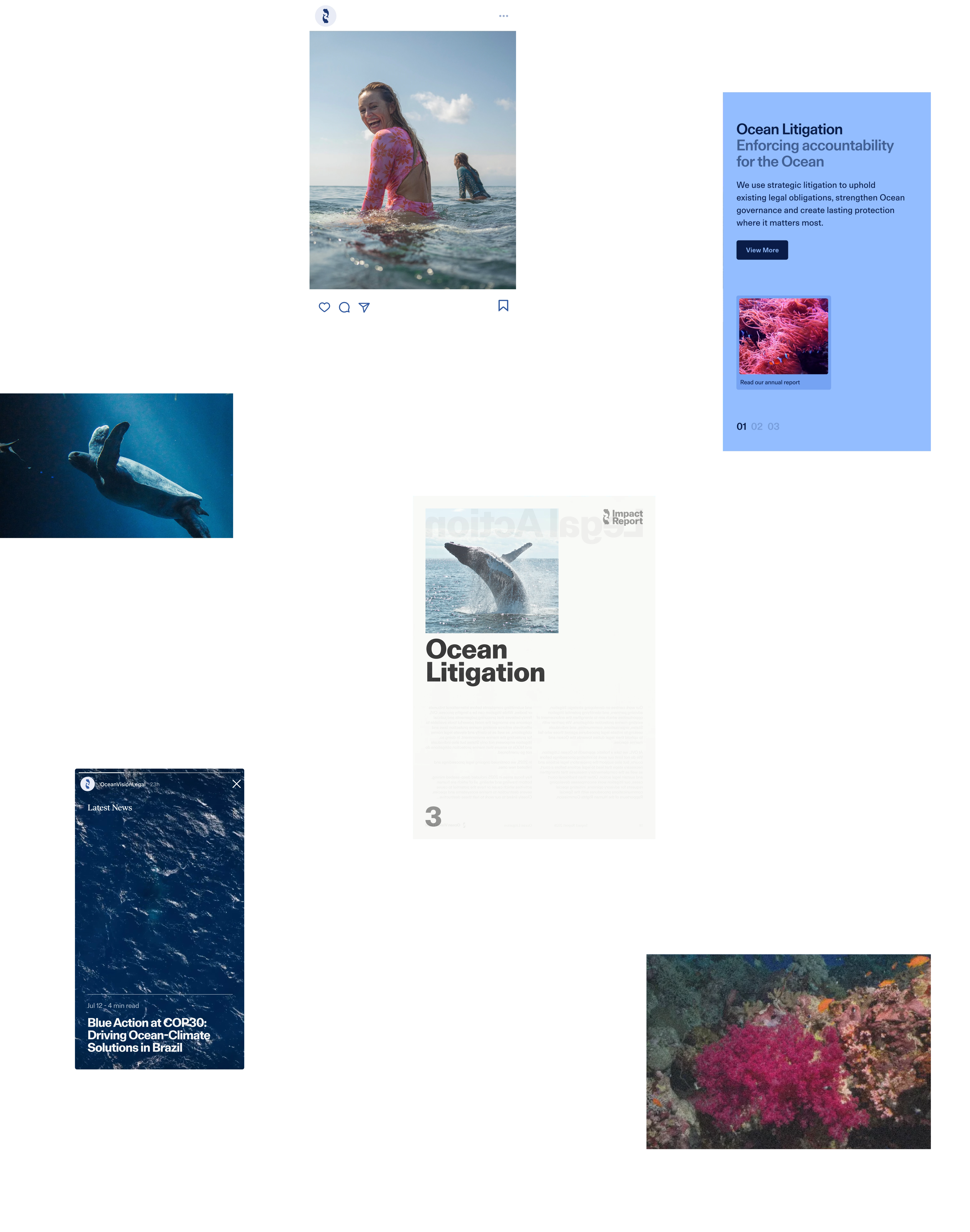 Ocean Vision Legal visual identity and branding project creative agency 