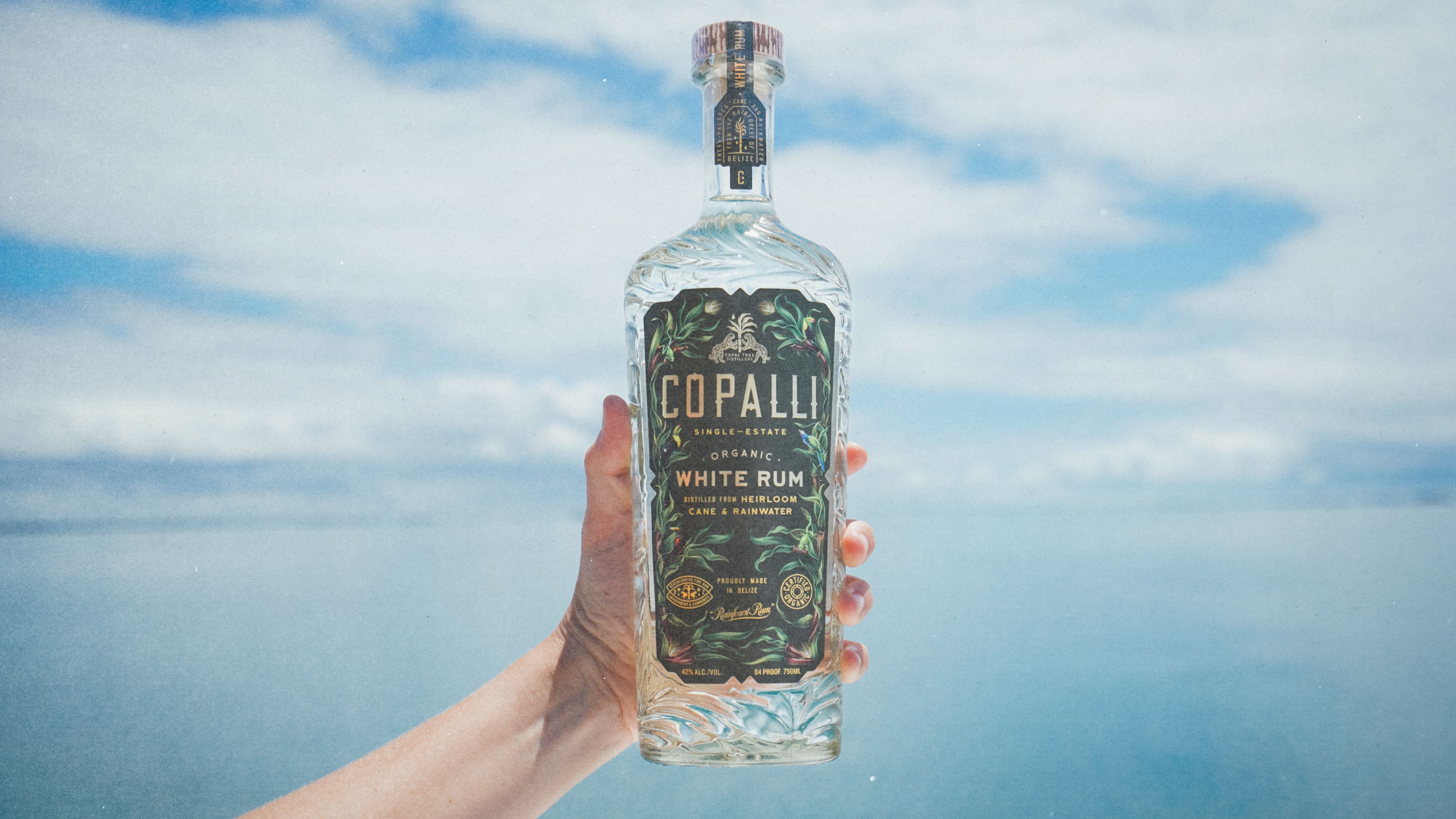 Copalli brand bottle photography Belize