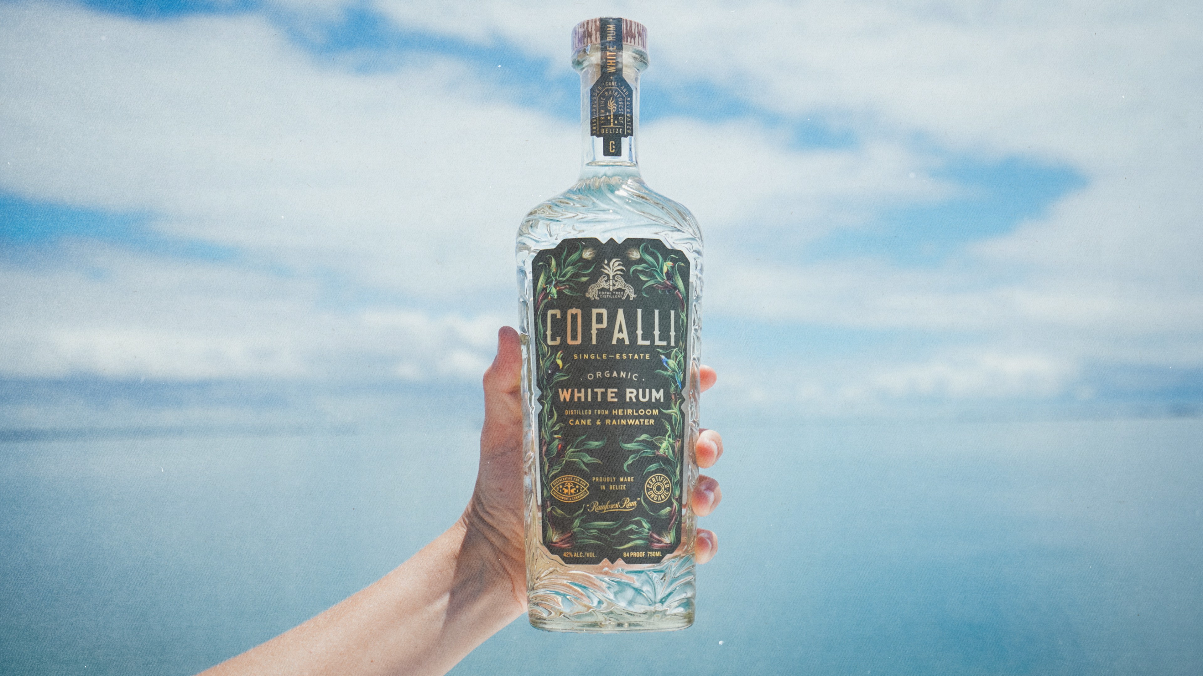 Copalli brand bottle photography Belize