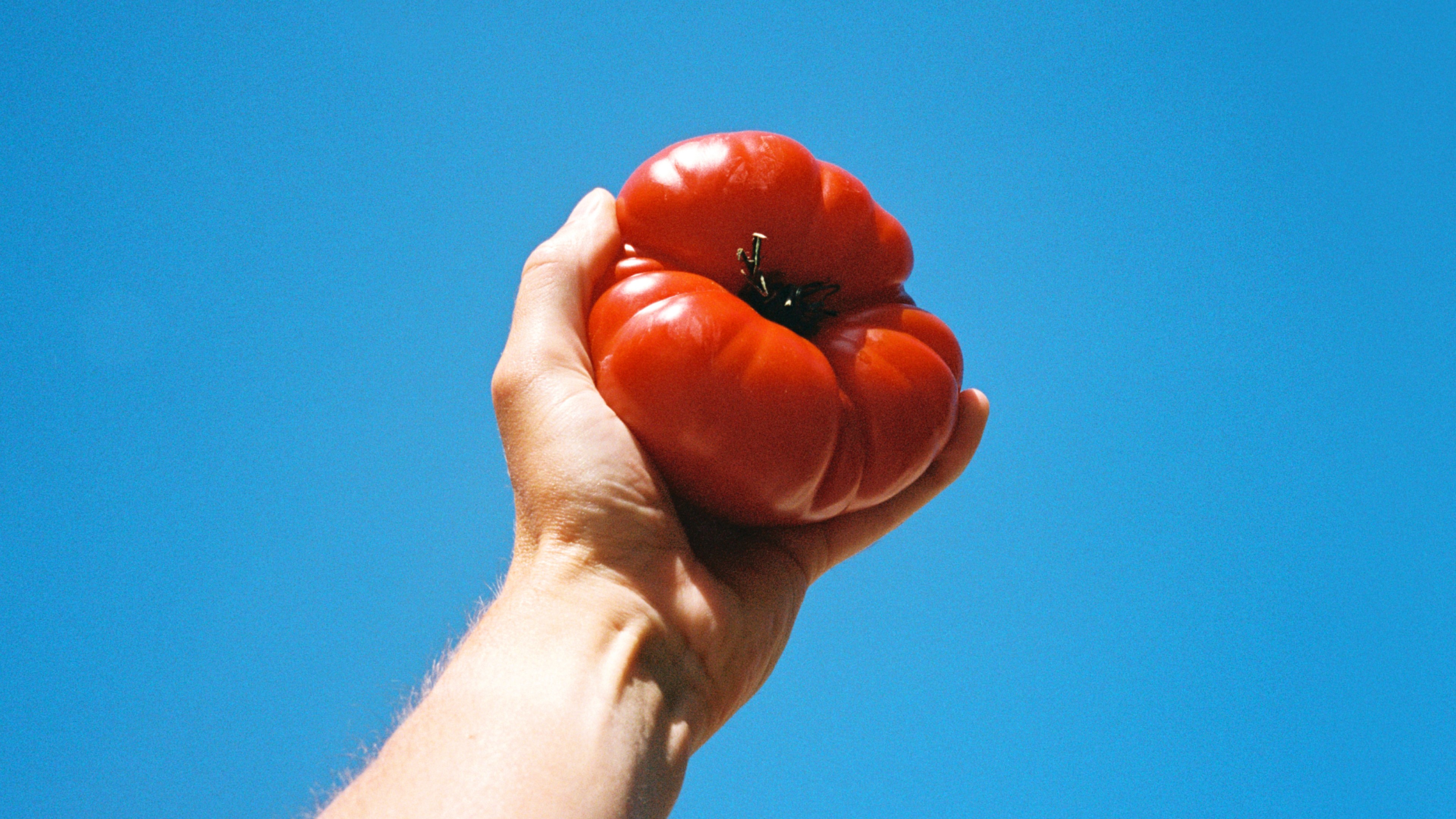 An image of Natoora produce showing tomato as the planet intended