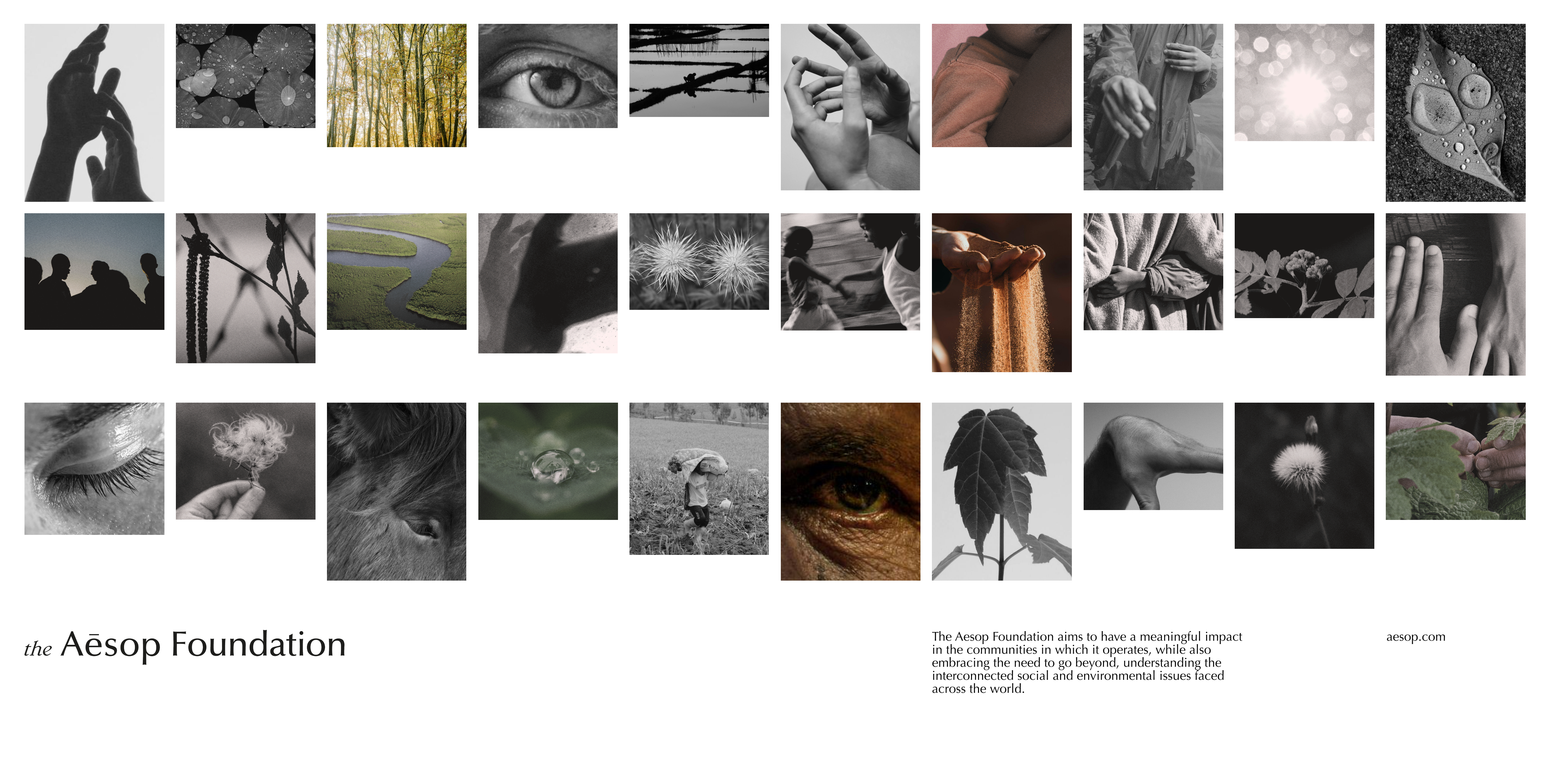 A Video of The Aesop Foundation showing the brand and photography Art Direction