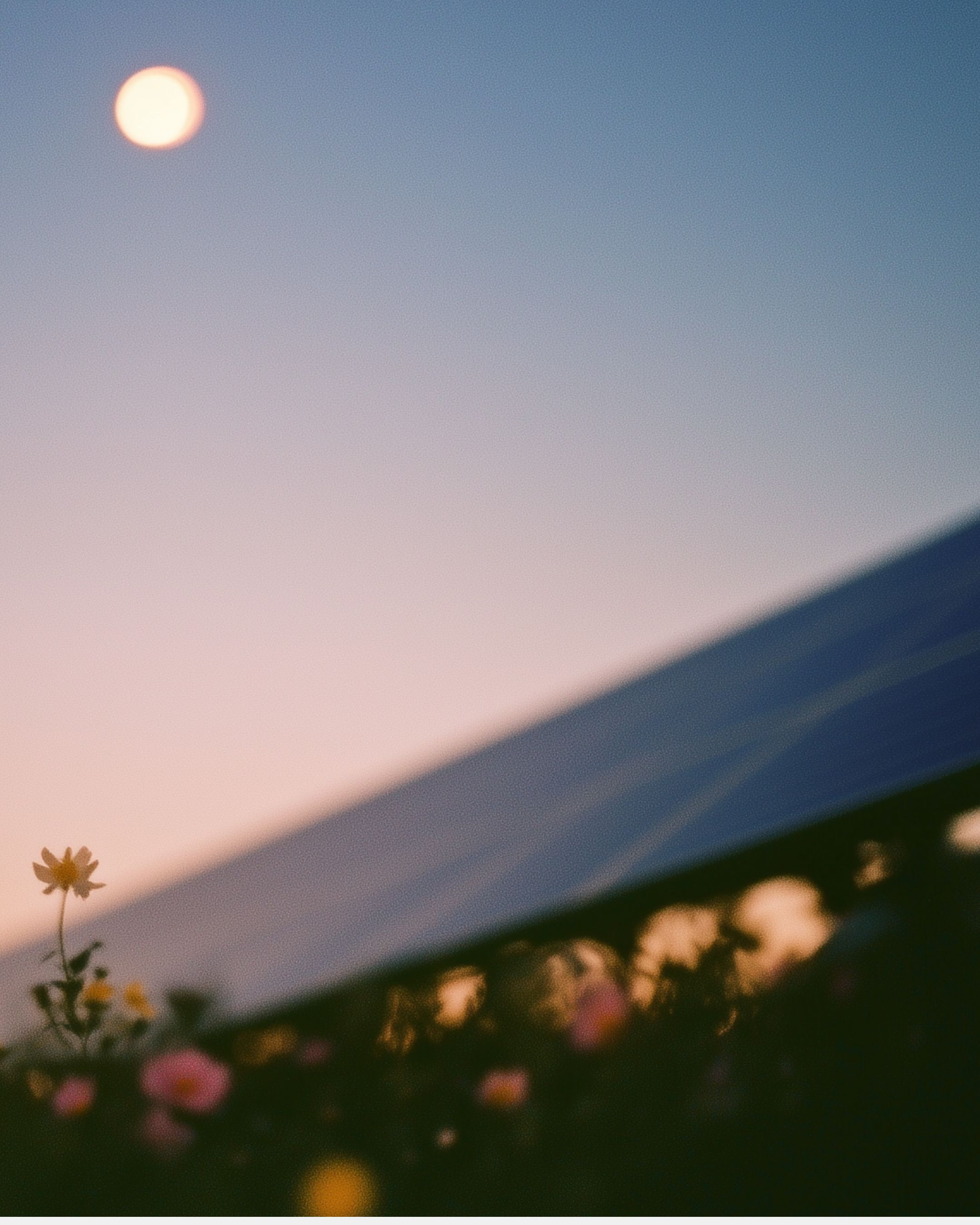 Process: Creating the Power Shift narrative.