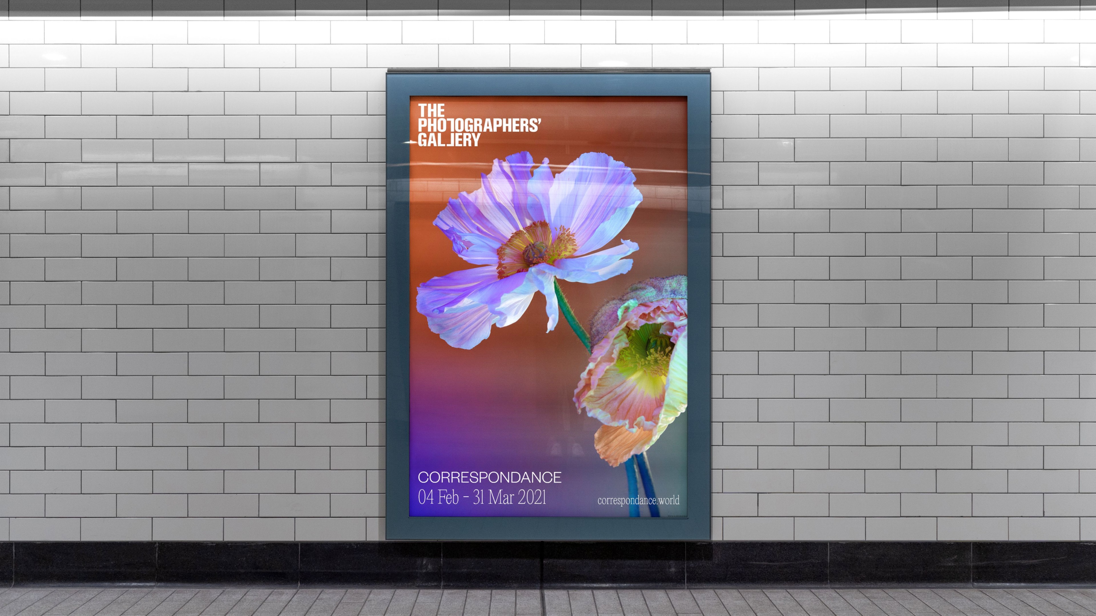 An image of The Photographers Gallery Correspondance exhibition showing an interactive digital experience with artwork