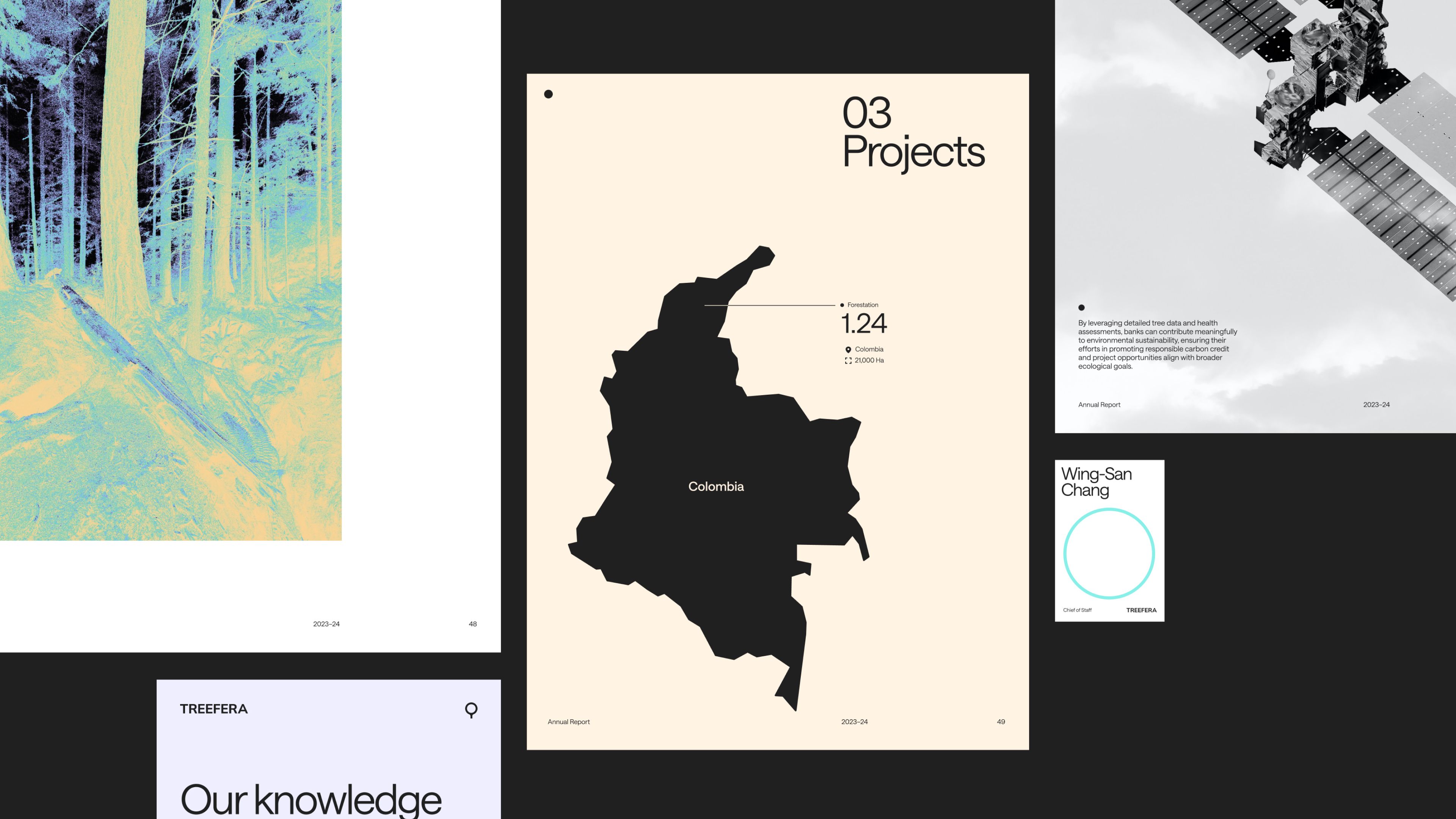 An image of Treefera brand as layouts showing photography and type as a key visual