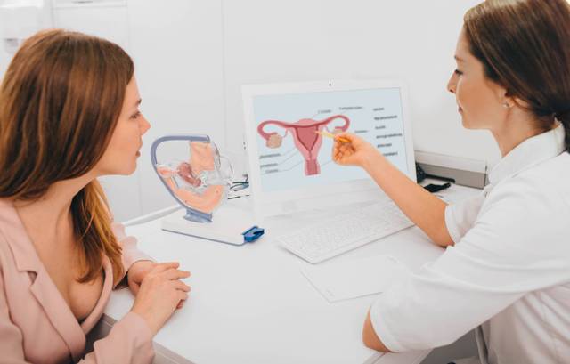 Professionnelle de santé montrant un schéma gynécologique à une femme.
