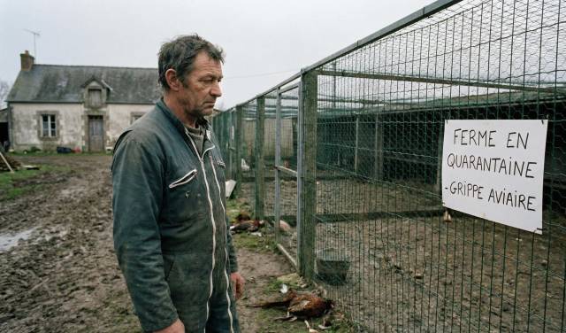 Homme devant une ferme et un panneau de quarantaine pour grippe aviaire.