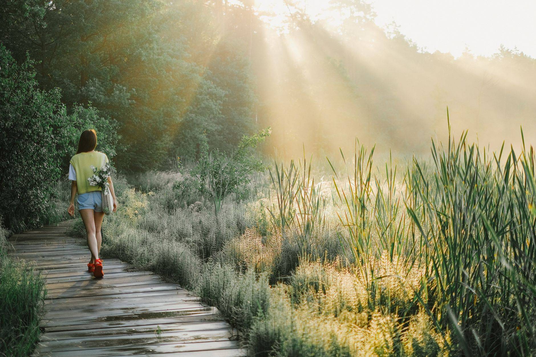 Une femme marche sur un chemin en bois, dans une forêt ensoleillée.