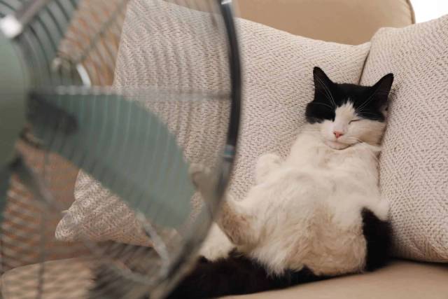 Comment bien dormir malgré la chaleur estivale ?