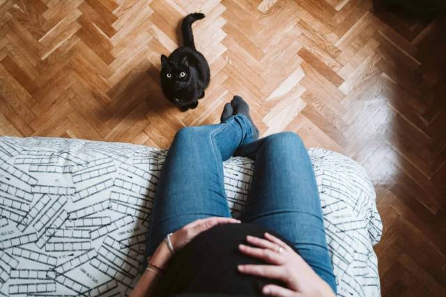 Femme enceinte en consultation médicale pour le dépistage de la toxoplasmose