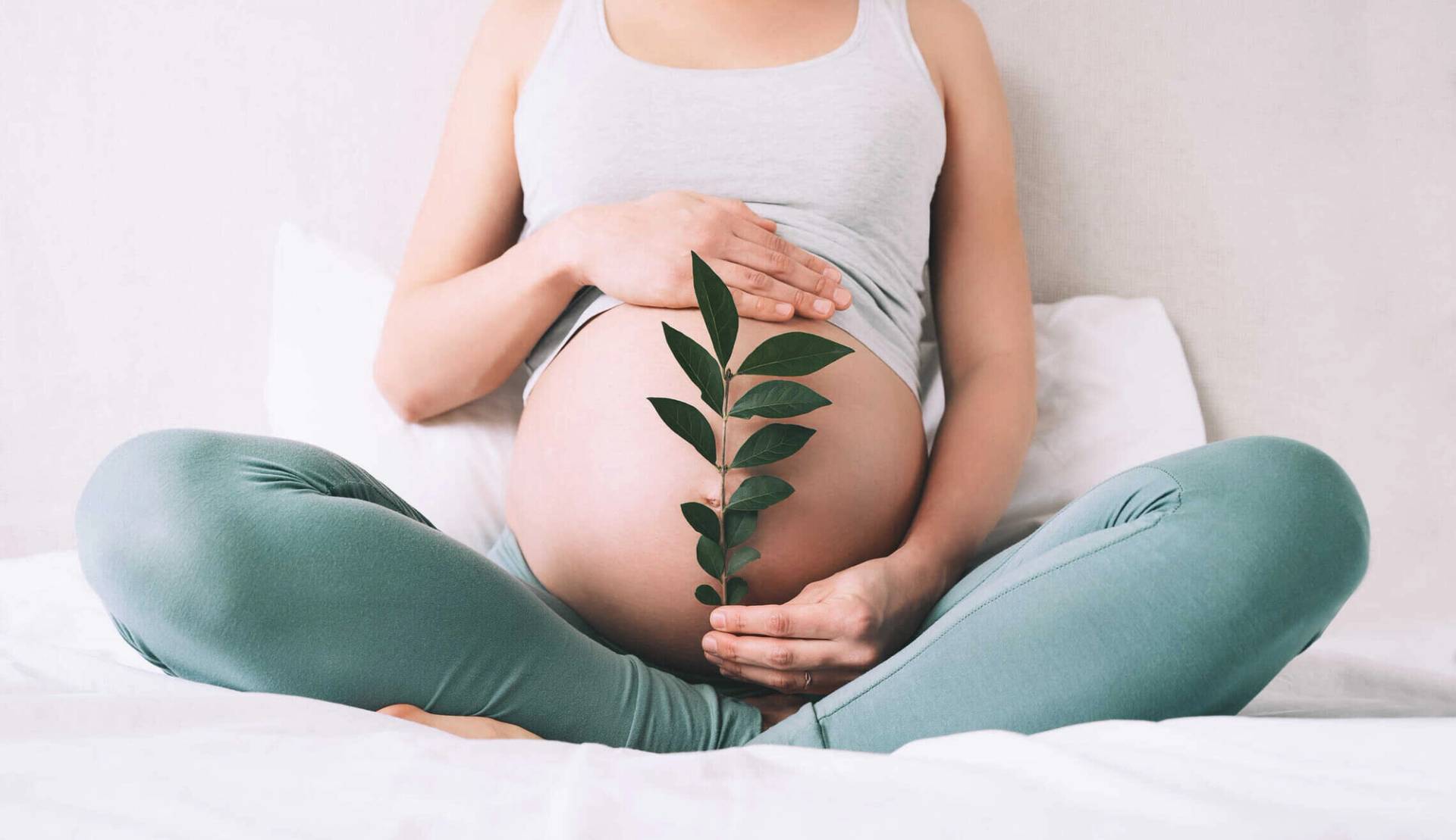 Personne enceinte tenant une branche feuillue devant son ventre.