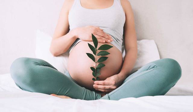 Personne enceinte tenant une branche feuillue devant son ventre.