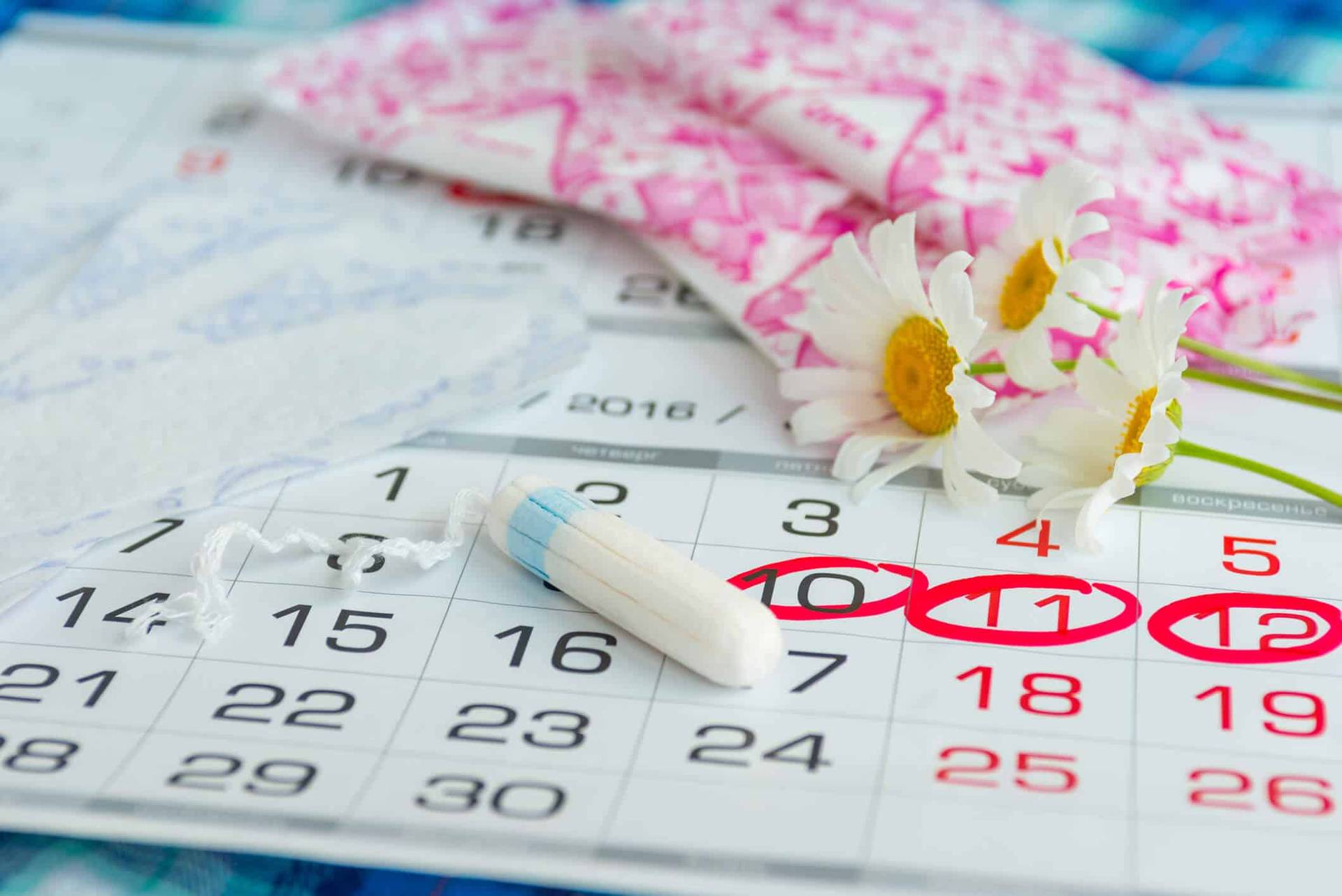 Calendrier menstruel, tampon et fleur.