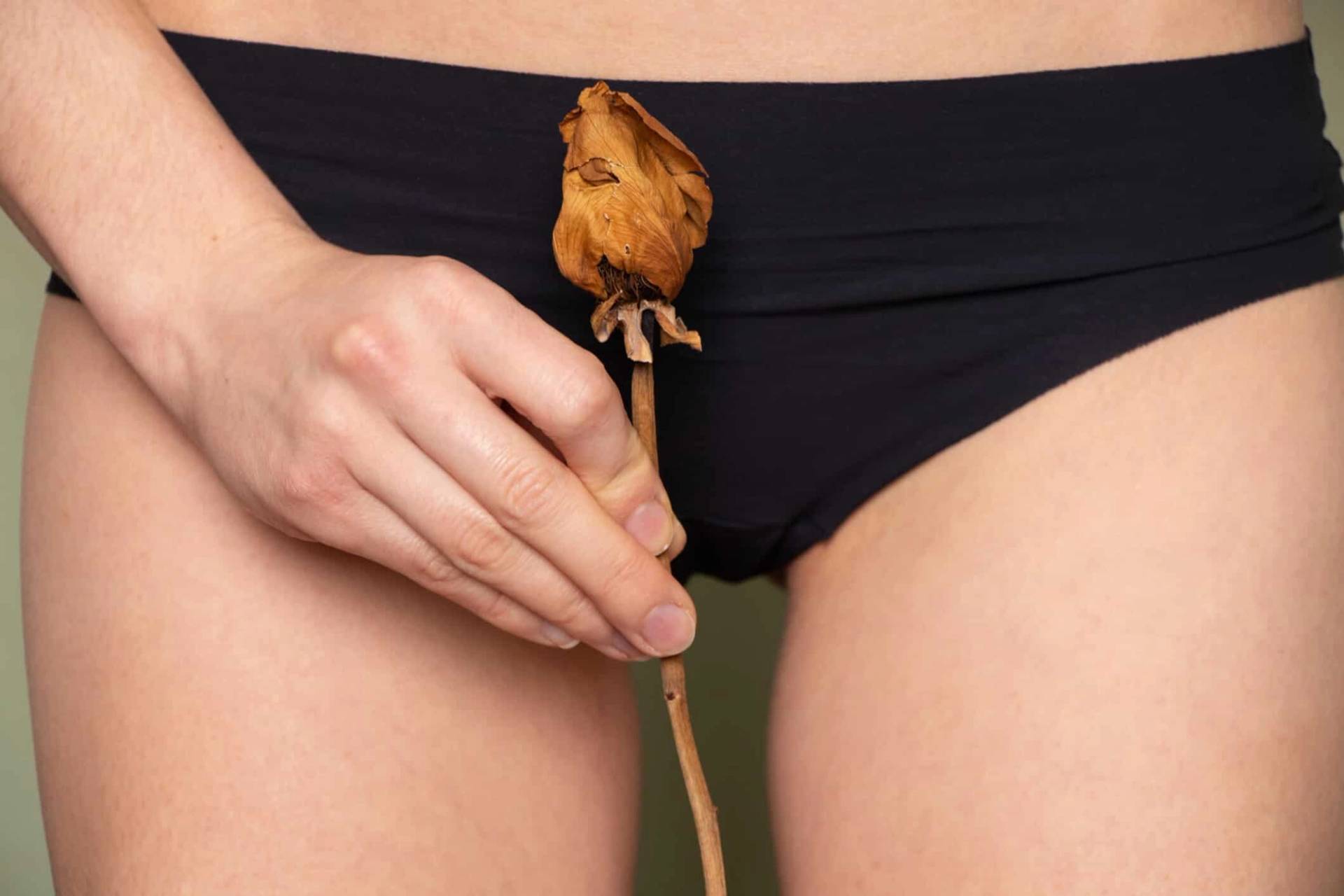 Fleur fanée tenue devant un sous-vêtement.