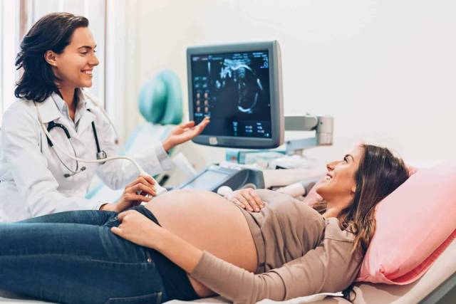 Échographie morphologique : médecin réalisant un examen échographique sur une femme enceinte