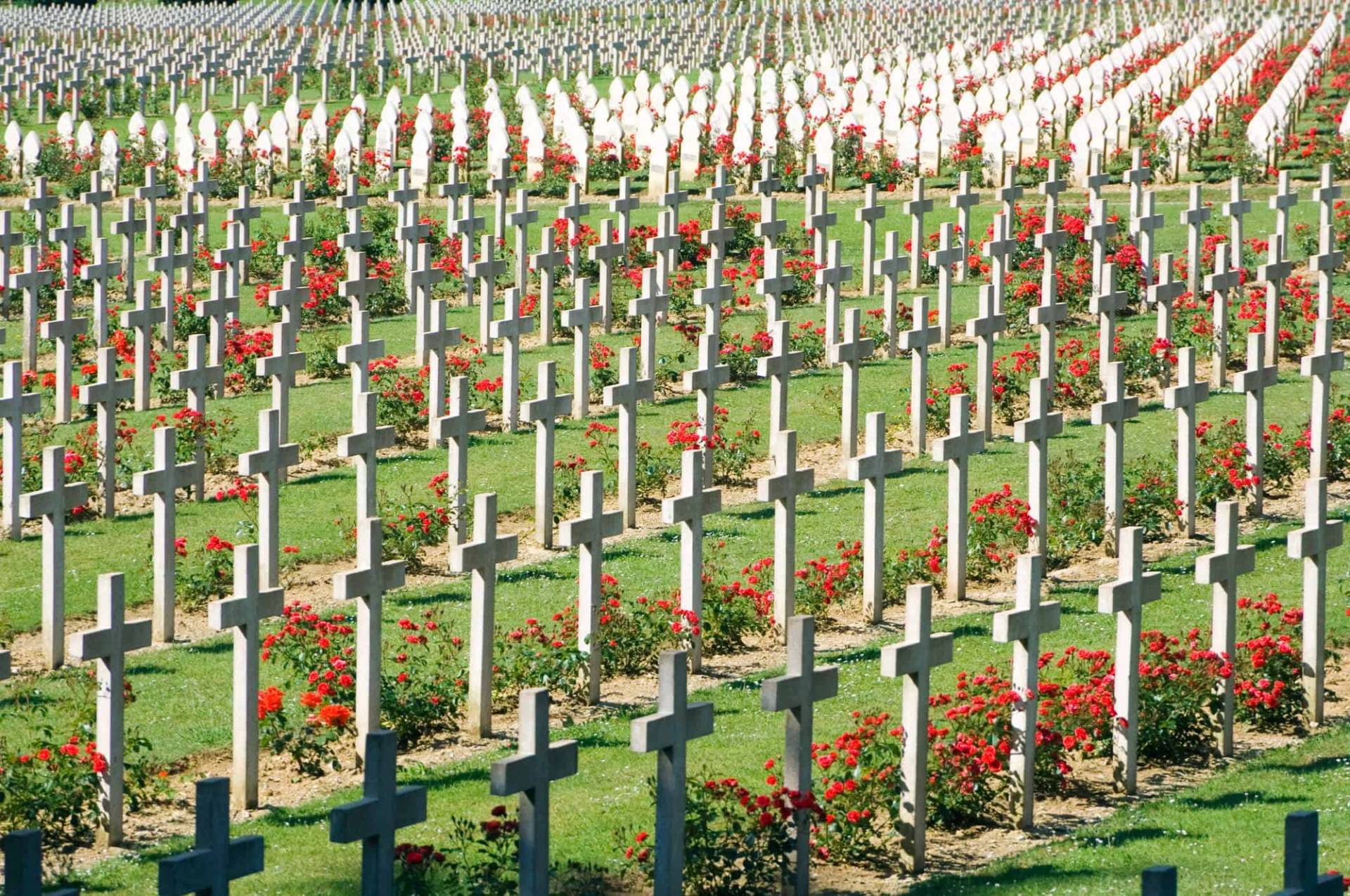 Rangées de tombes dans un cimetière.
