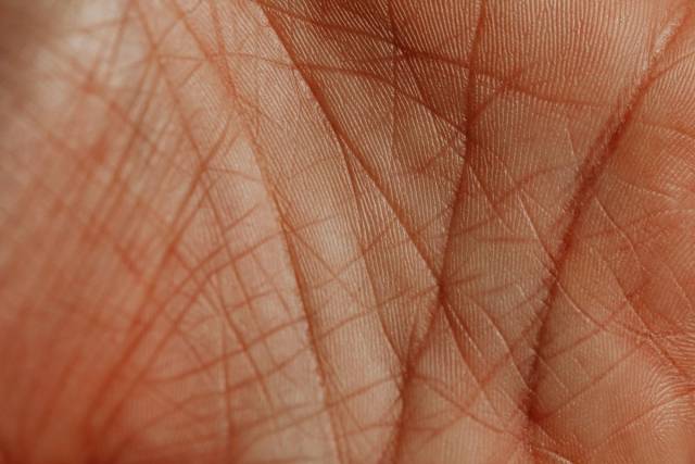 Photographie en gros plan montrant la texture et le motif complexes des lignes de la peau de la paume humaine
