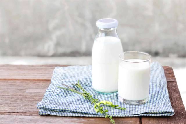 Intolérance et allergie aux protéines du lait de vache