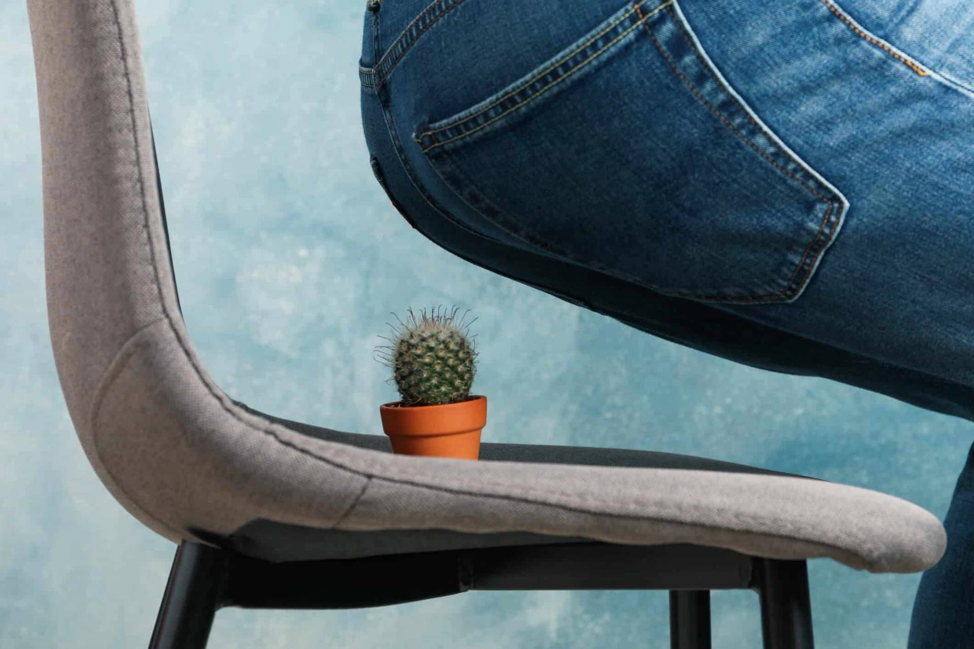 Montage montrant une personne sur le point de s'asseoir sur un petit cactus.