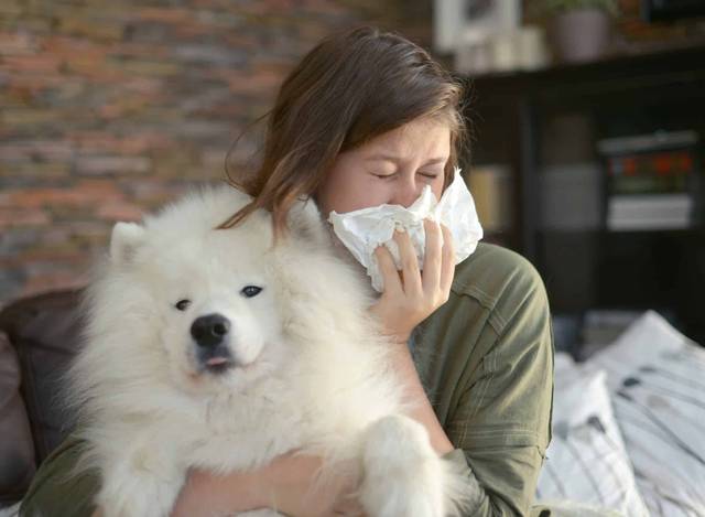 Femme se mouchant, un chien blanc installé près de son visage.