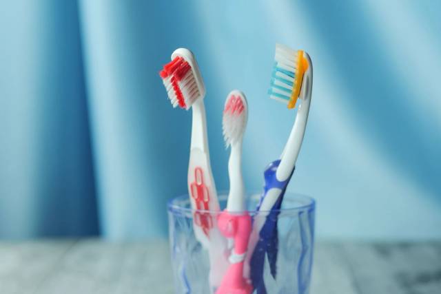 Deux grandes brosses à dents et une petite brosse à dents dans un verre.