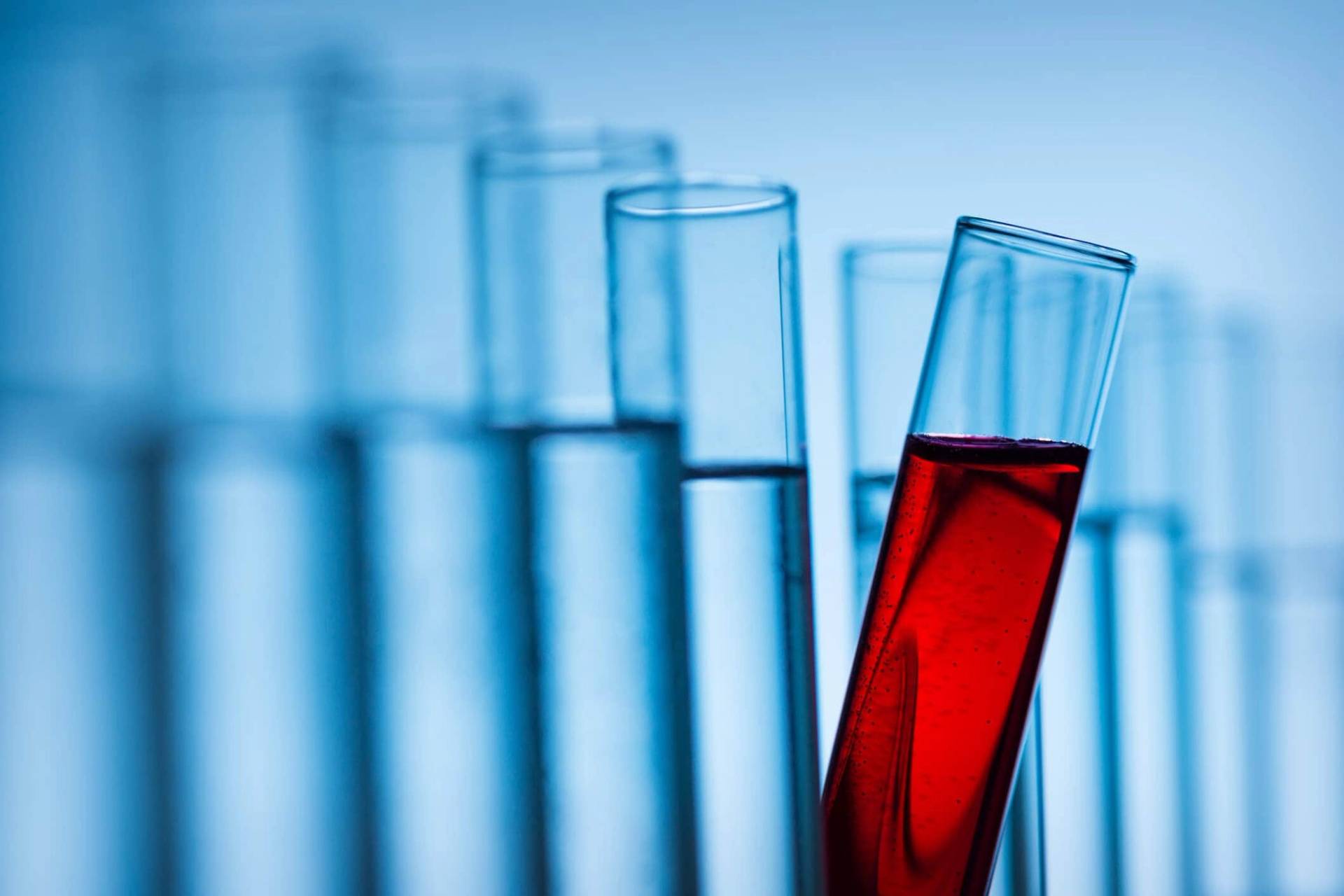 Un tube à essai incliné contenant un liquide rouge se démarque au premier plan devant une rangée de tubes remplis d'un liquide transparent
