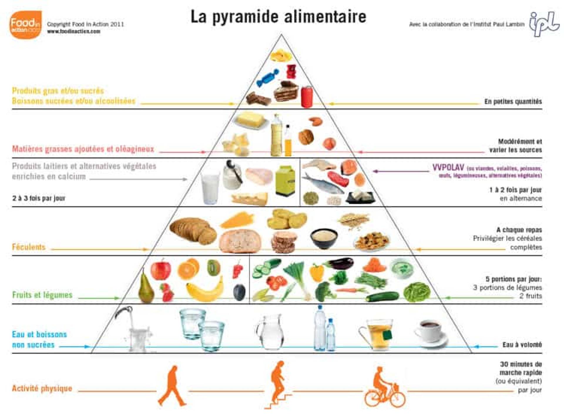 Pyramide alimentaire présentant les familles d’aliments et leur place dans l’alimentation.